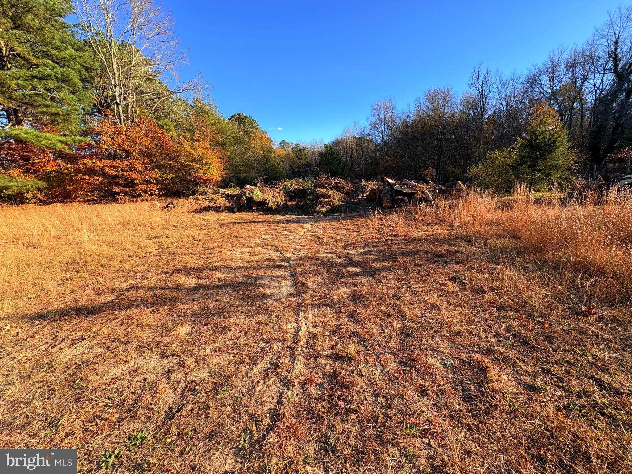 8381 Hurleys Neck Rd photo 20