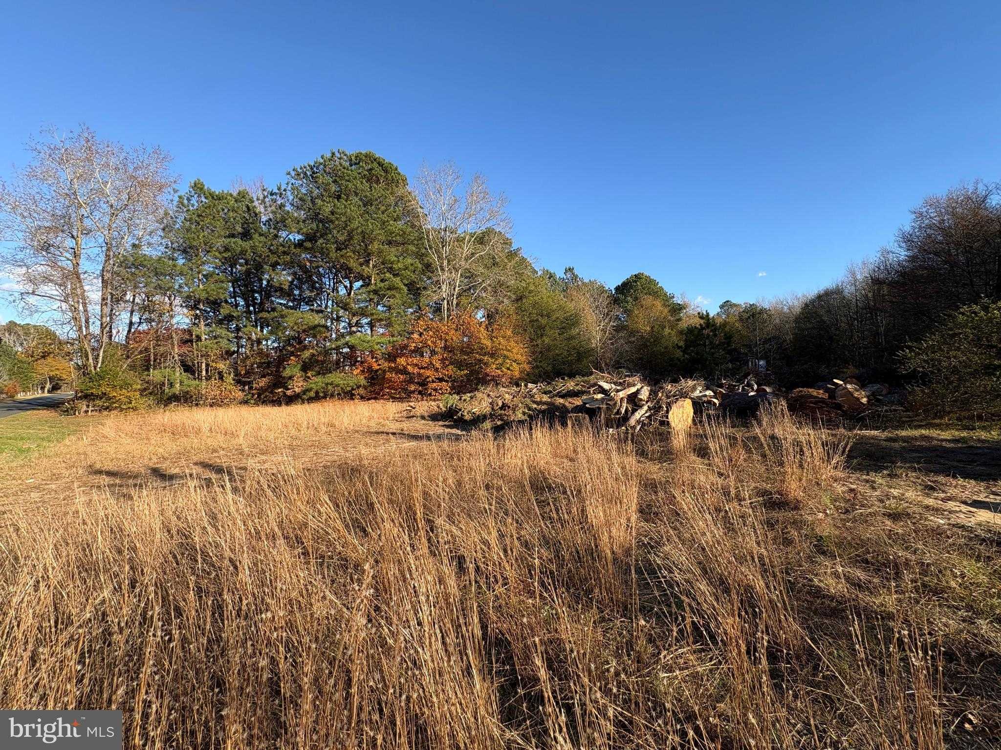 8385 Hurleys Neck Rd photo 2