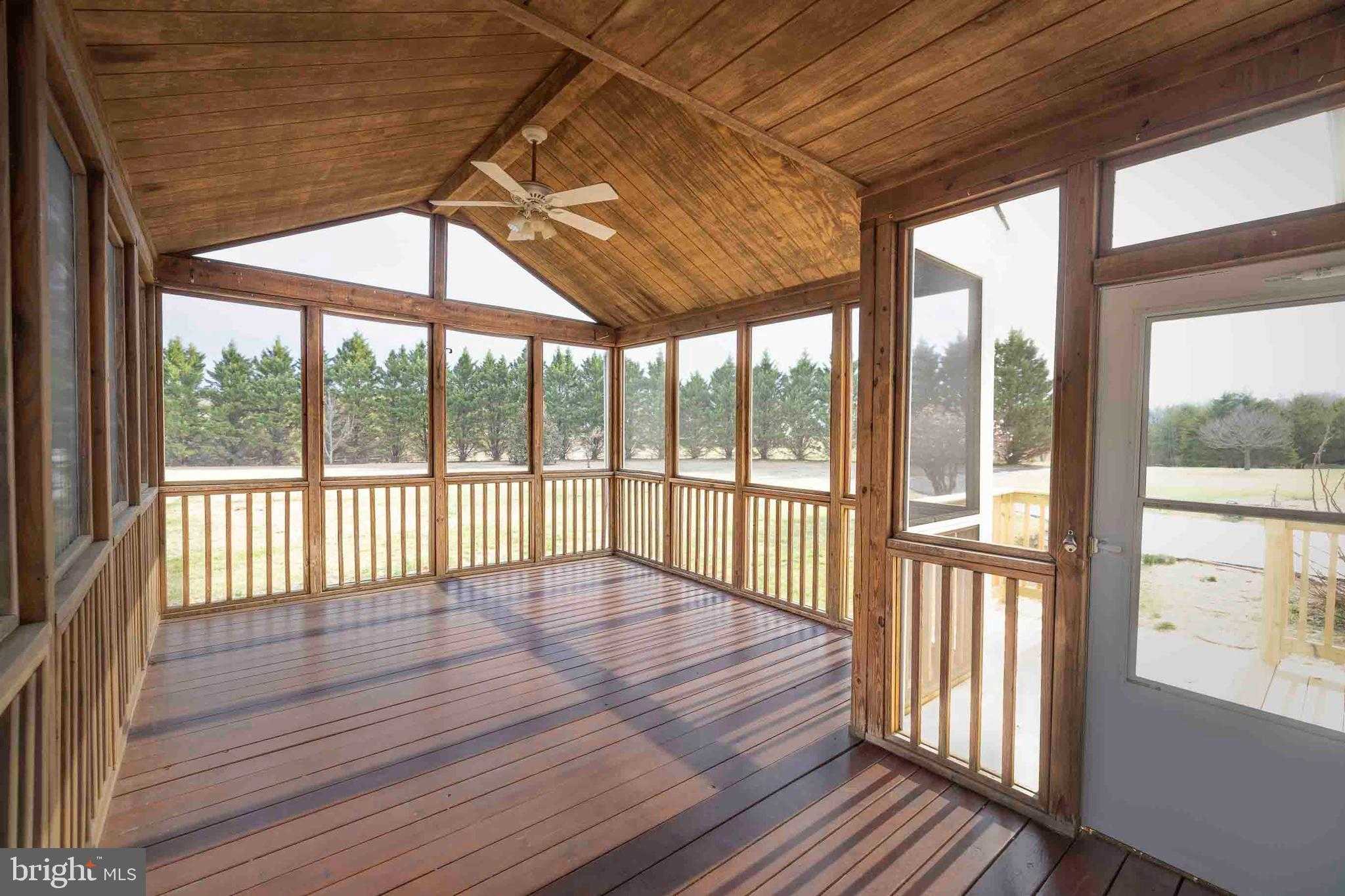 10497 Buchanan Ln photo 20