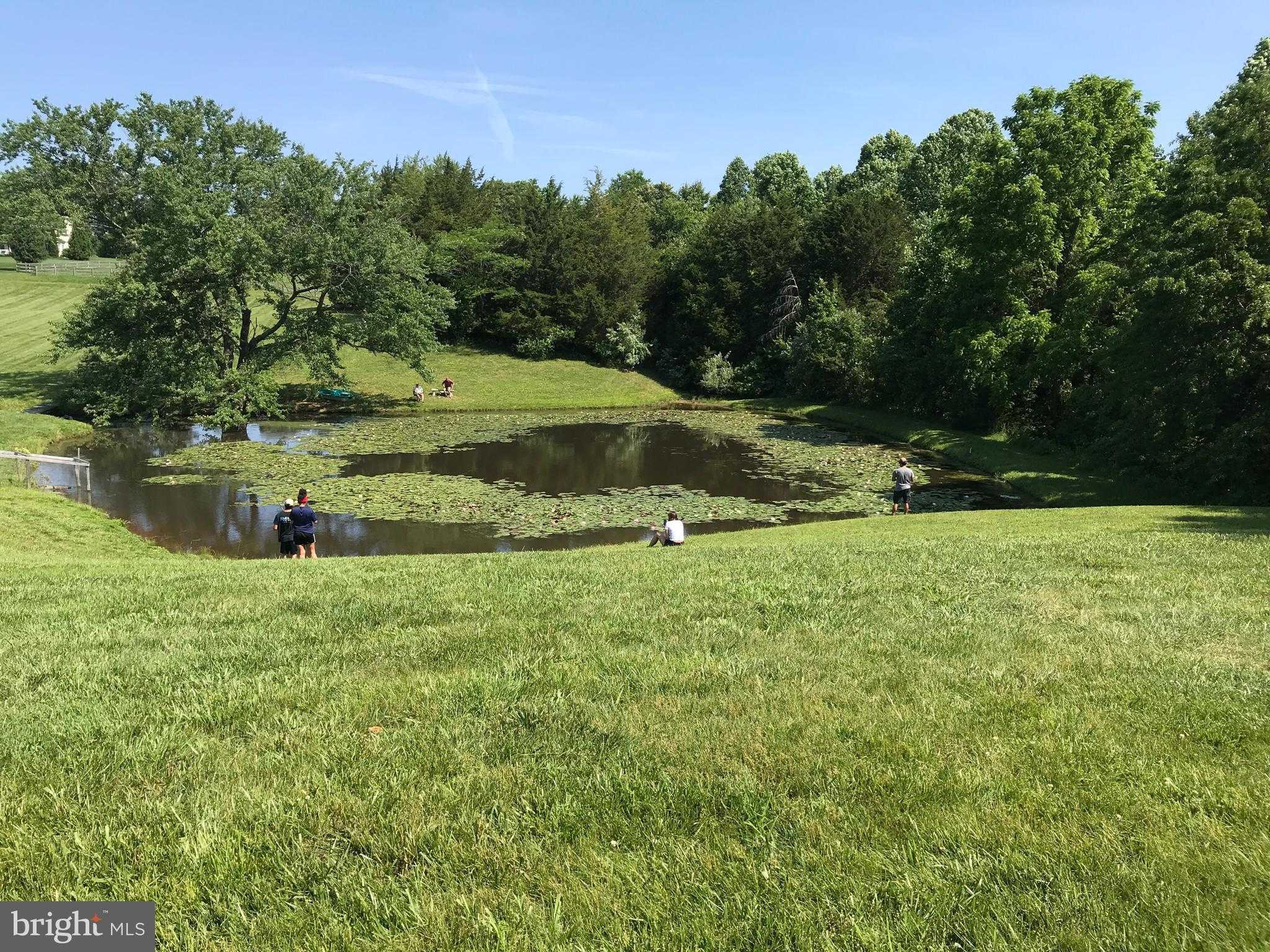 10497 Buchanan Ln photo 35