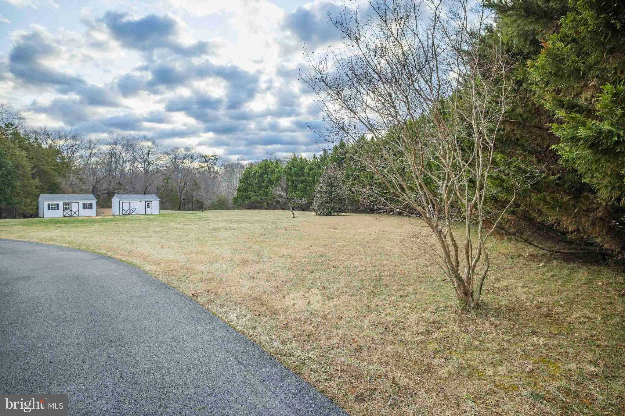 10497 Buchanan Ln photo 5