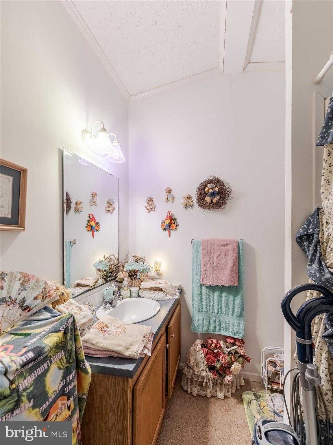 346 Maregan Dr photo 18