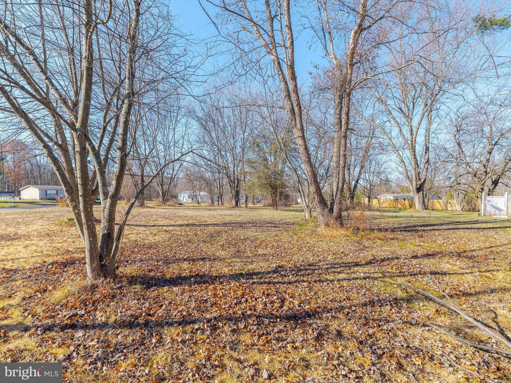 346 Maregan Dr photo 4