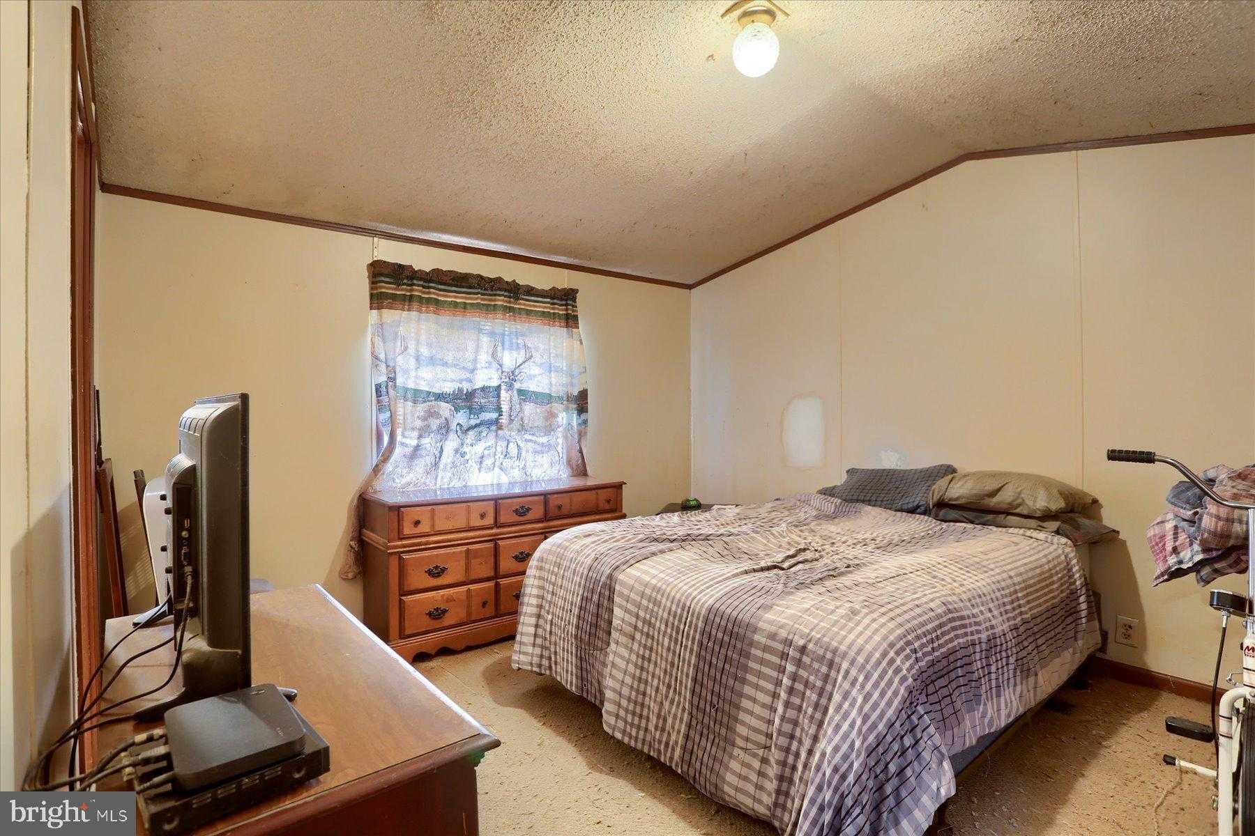 21 Walnut Ln photo 16