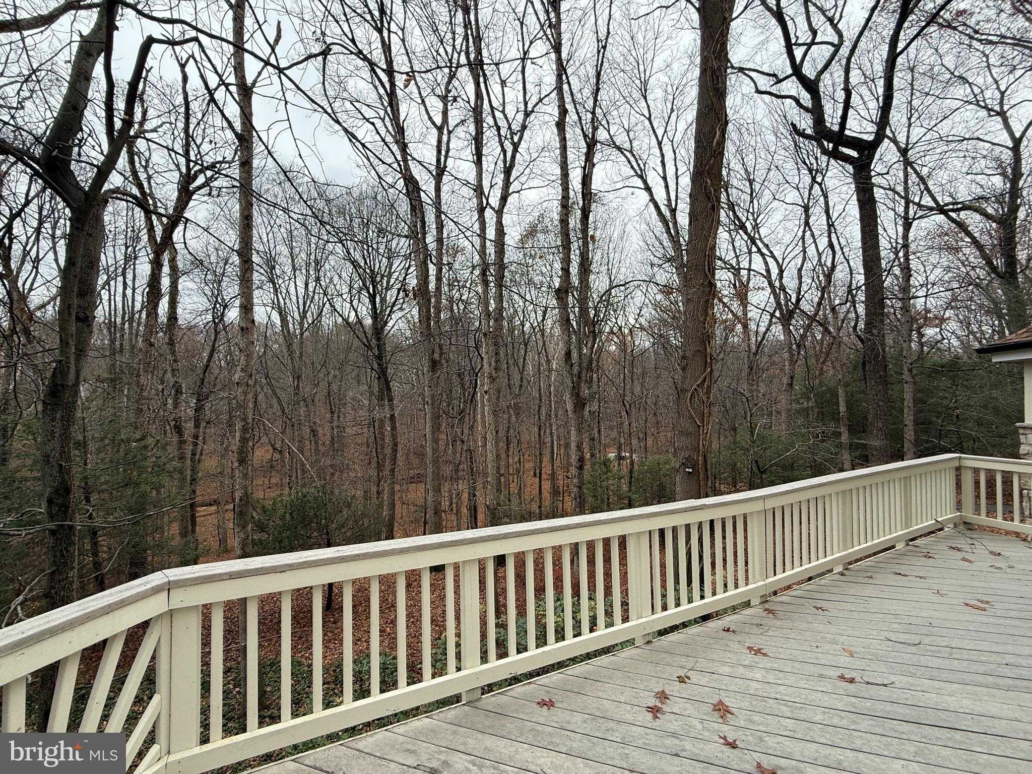 10701 Sycamore Springs Ln photo 38