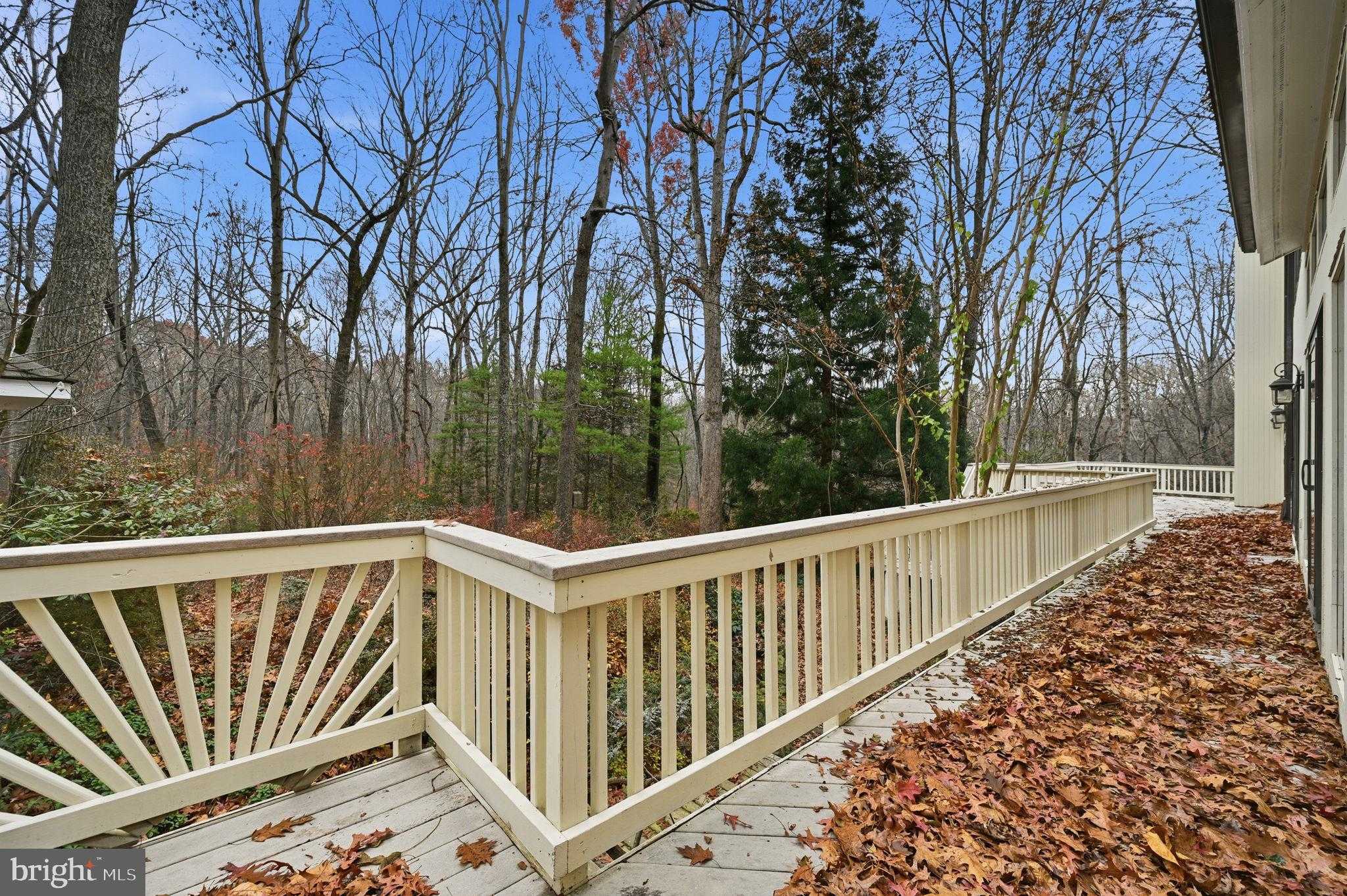 10701 Sycamore Springs Ln photo 89