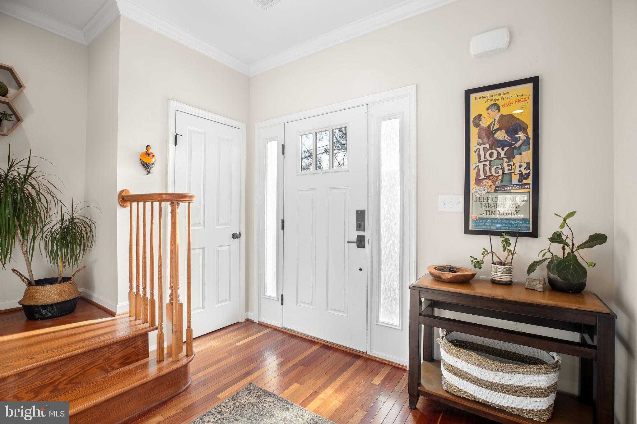 409 Dunmore St photo 21