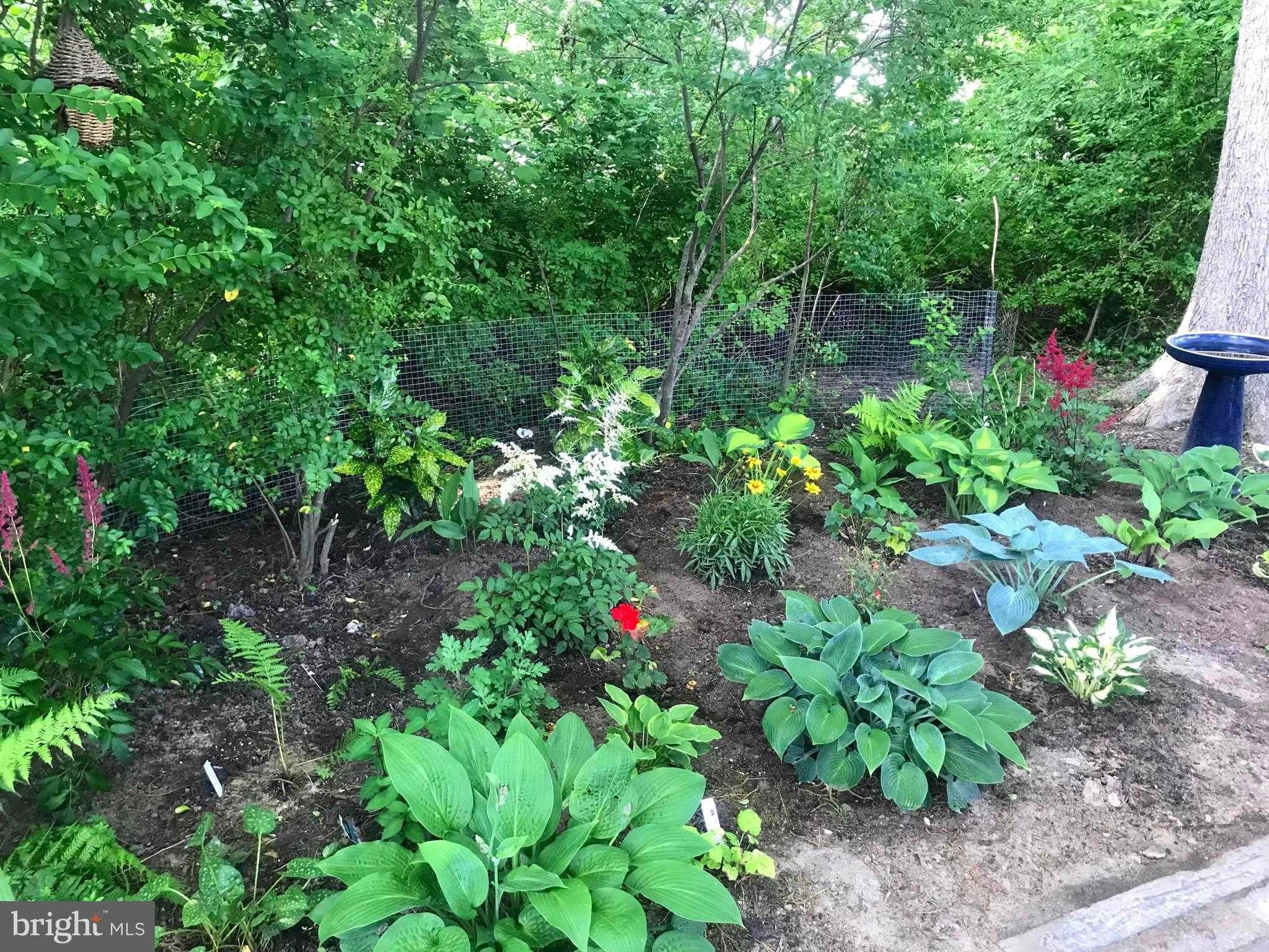 105 Seymour Ave photo 28