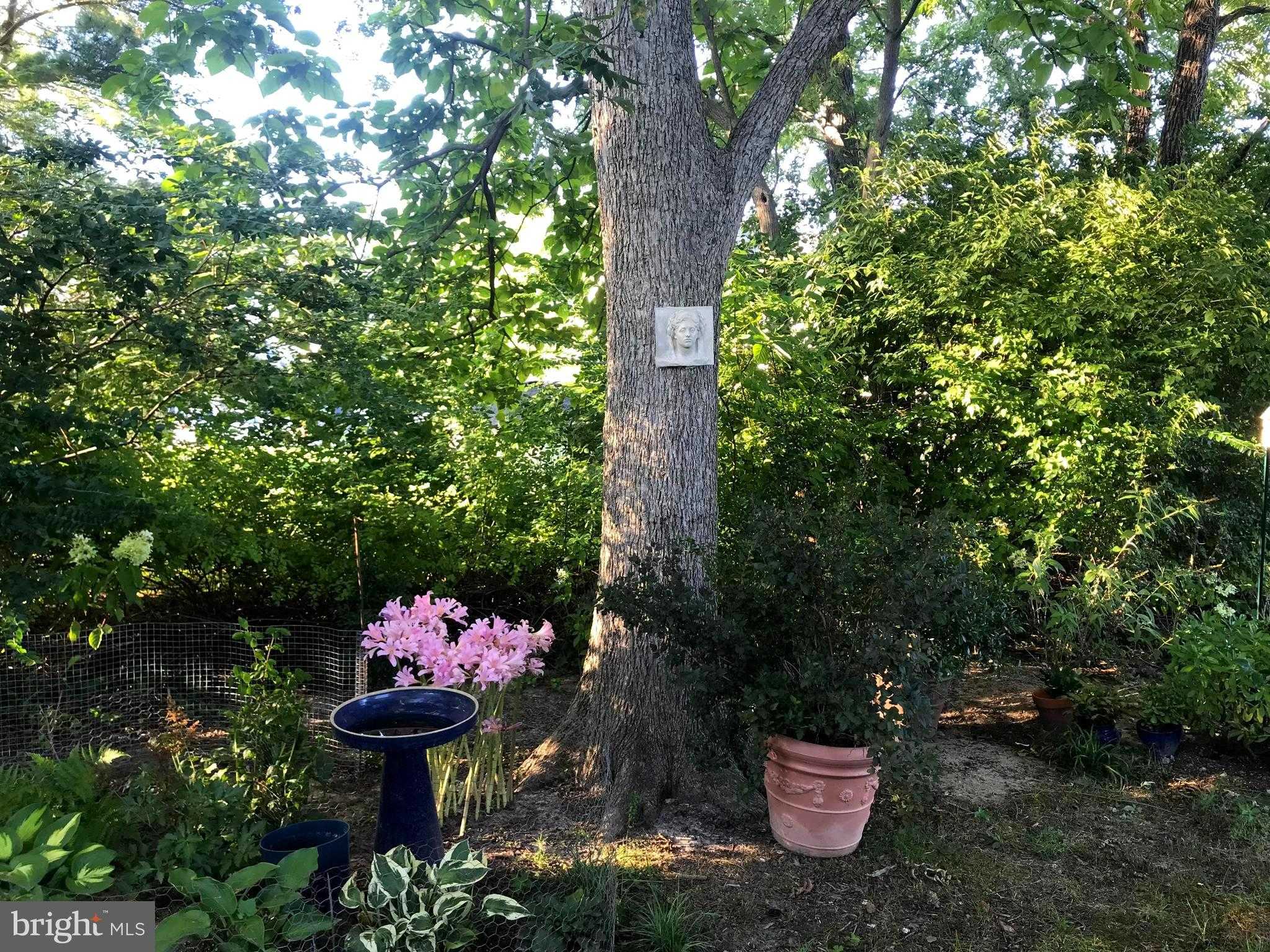 105 Seymour Ave photo 29