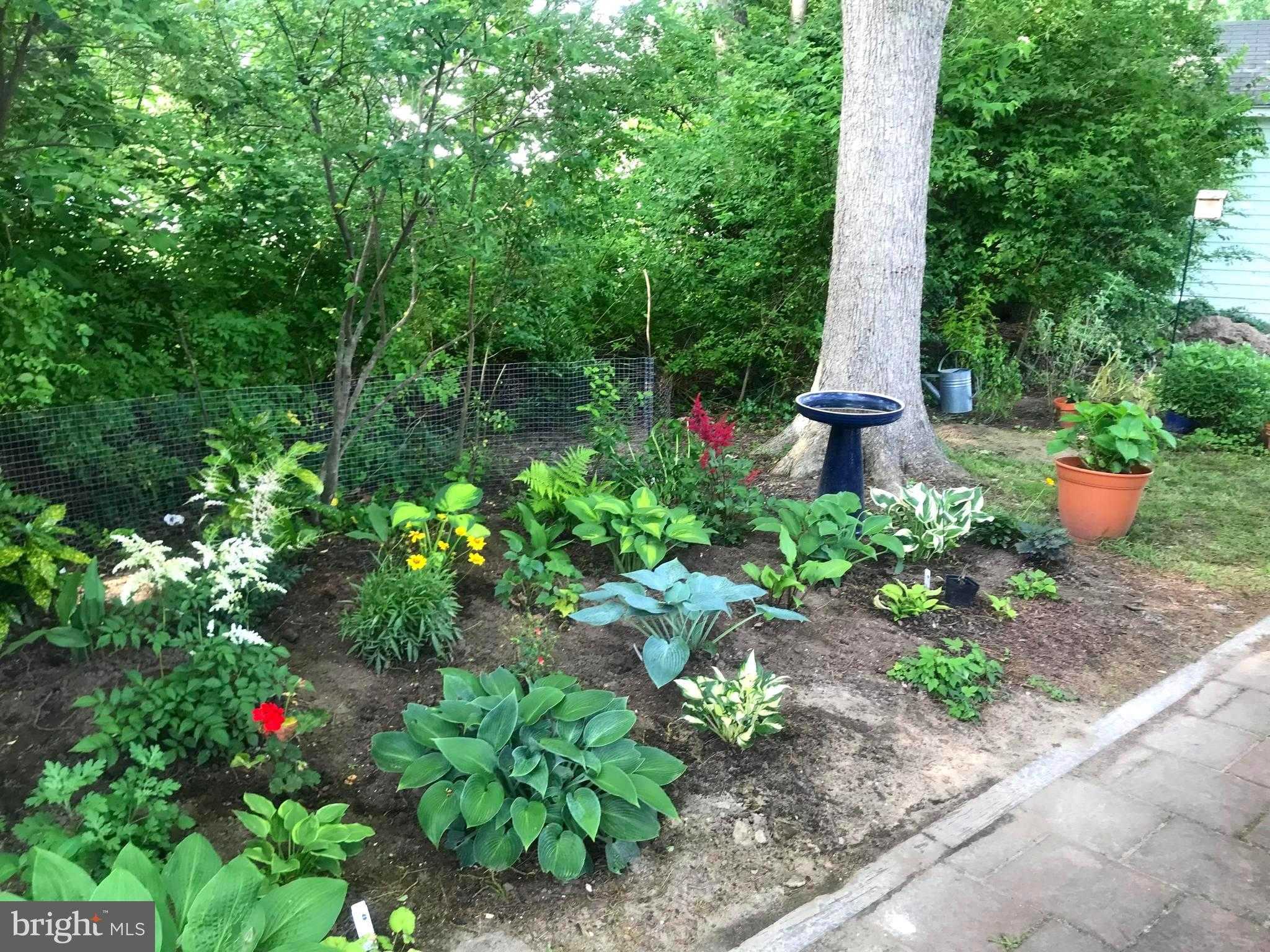 105 Seymour Ave photo 31