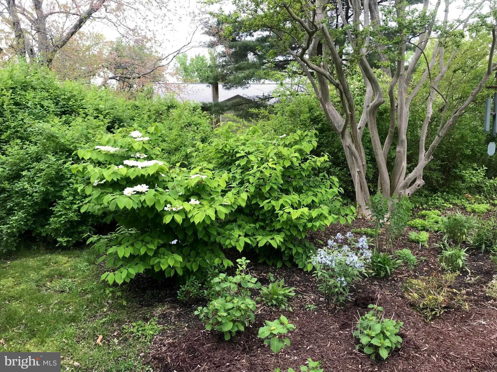 105 Seymour Ave photo 32