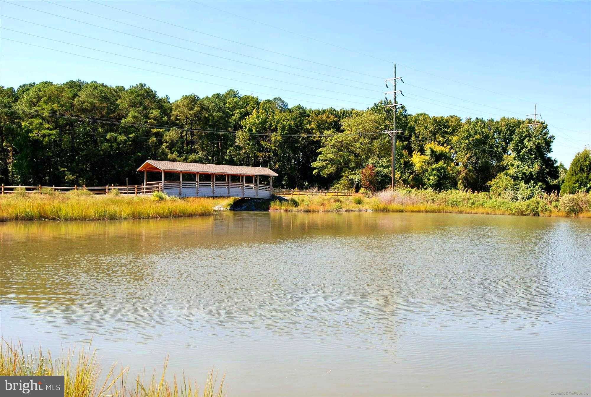 105 Seymour Ave photo 36