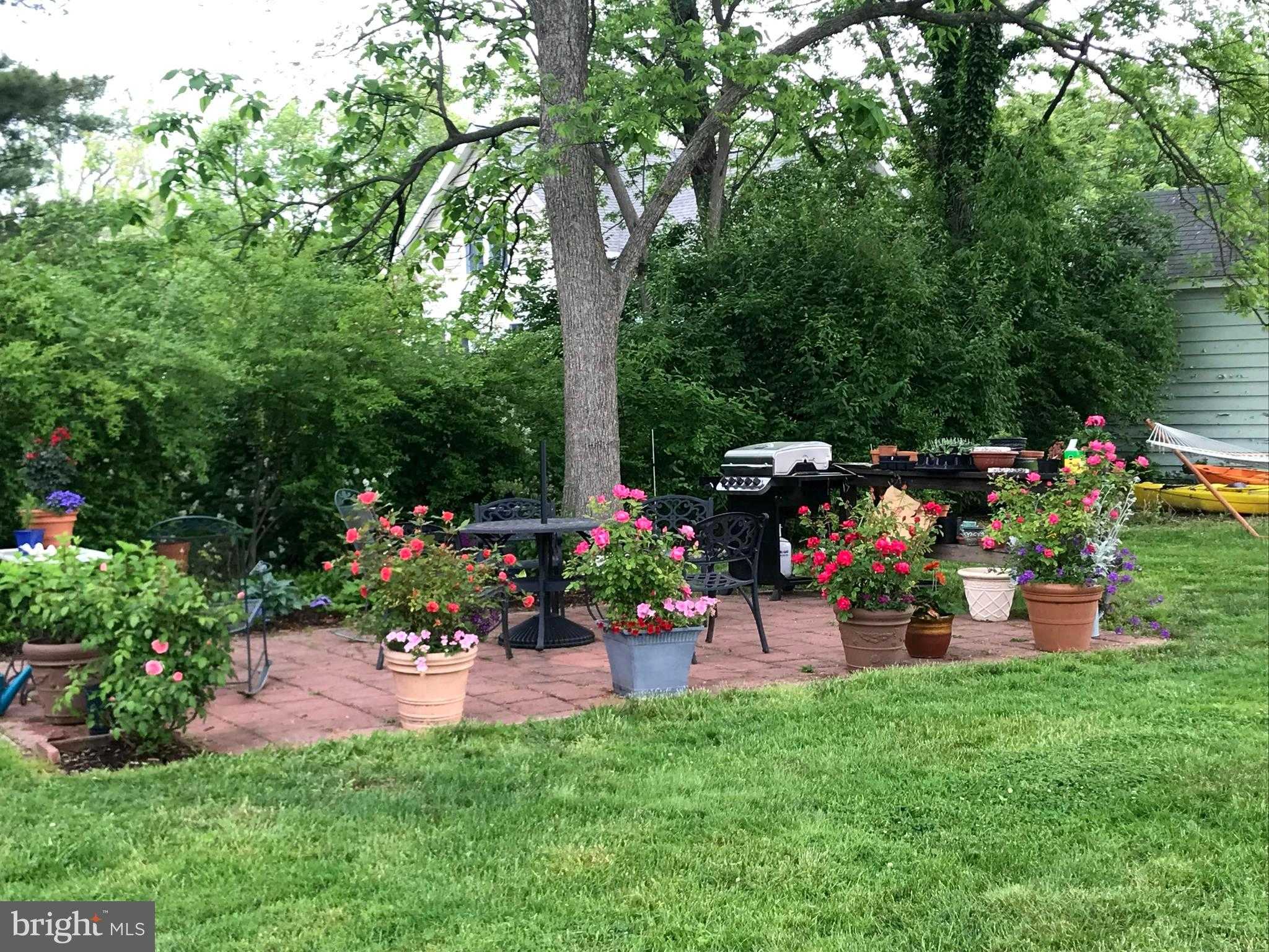 105 Seymour Ave photo 4