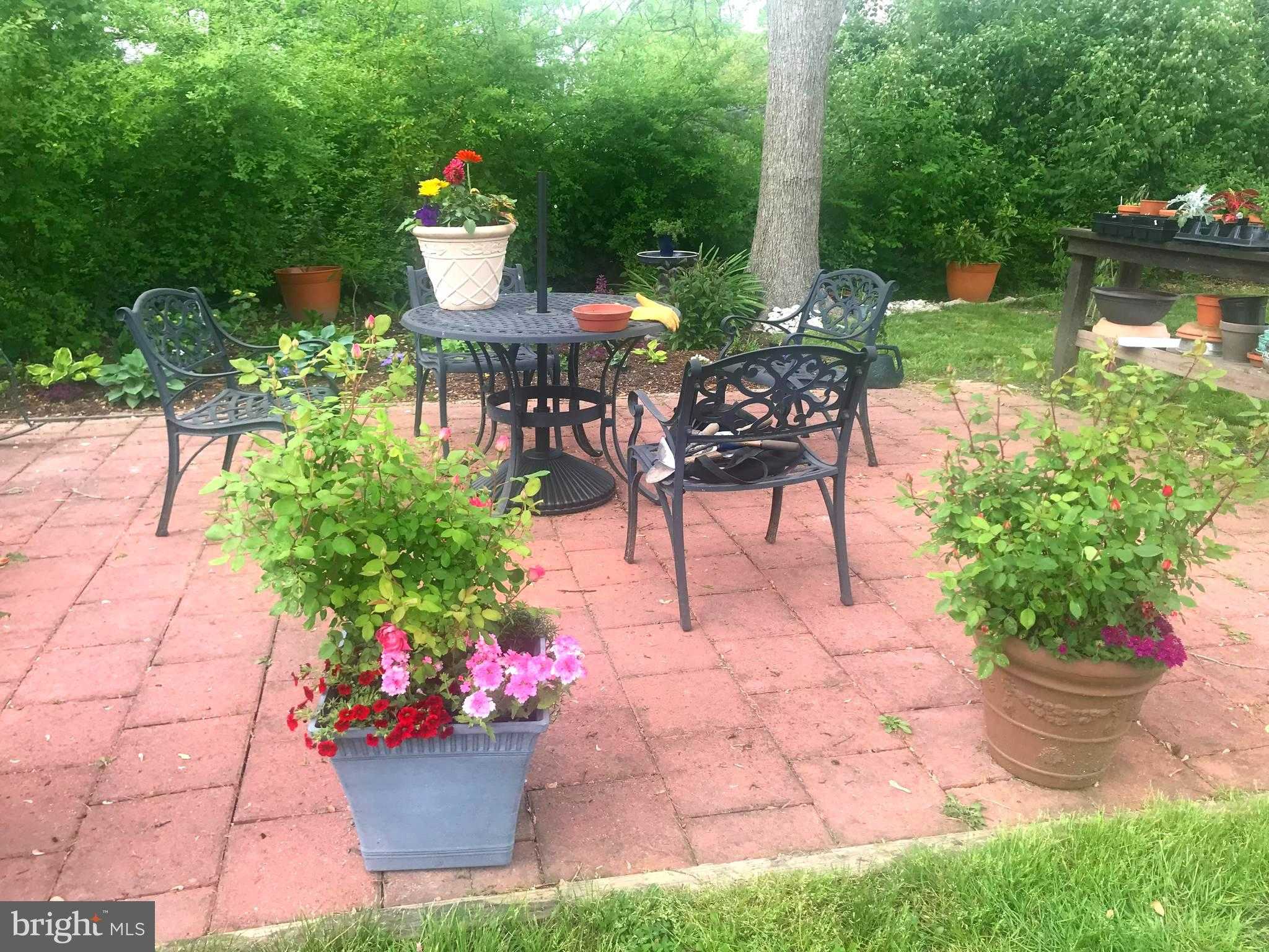 105 Seymour Ave photo 5