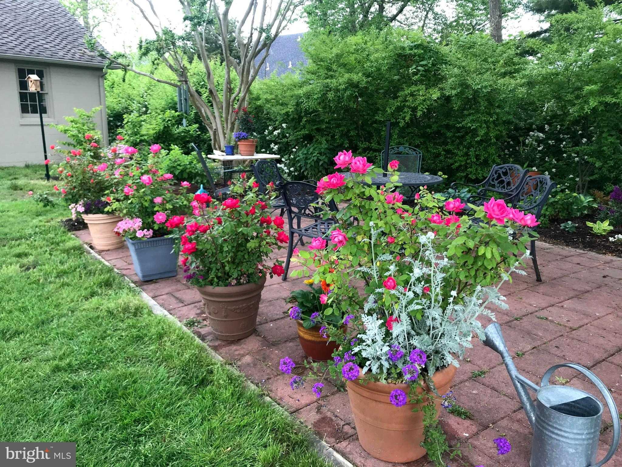 105 Seymour Ave photo 6