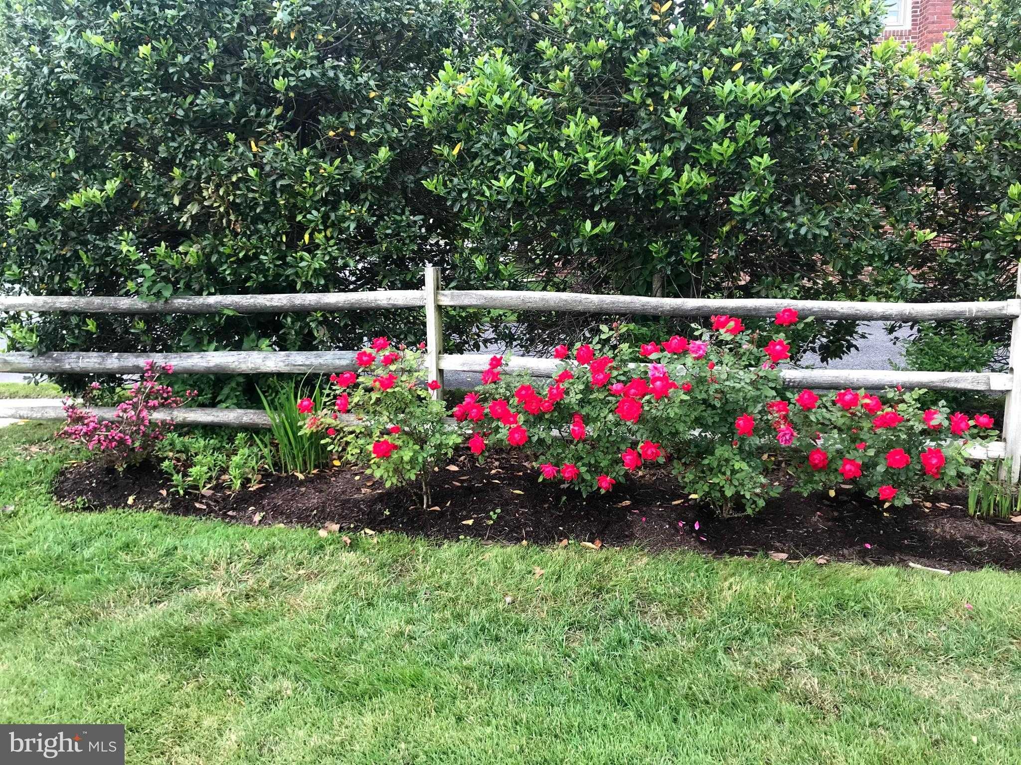 105 Seymour Ave photo 8