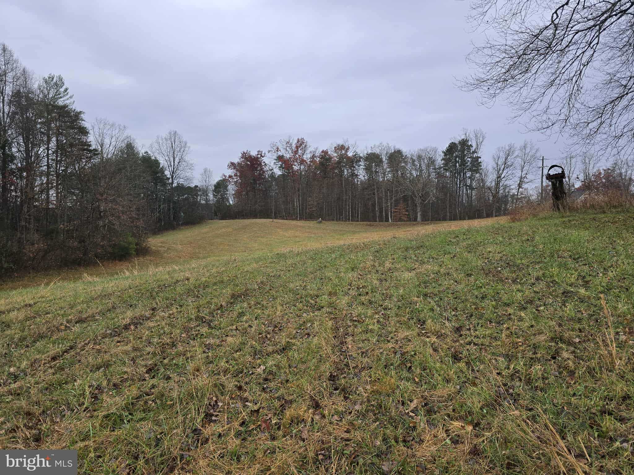 729 Celt Rd photo 10