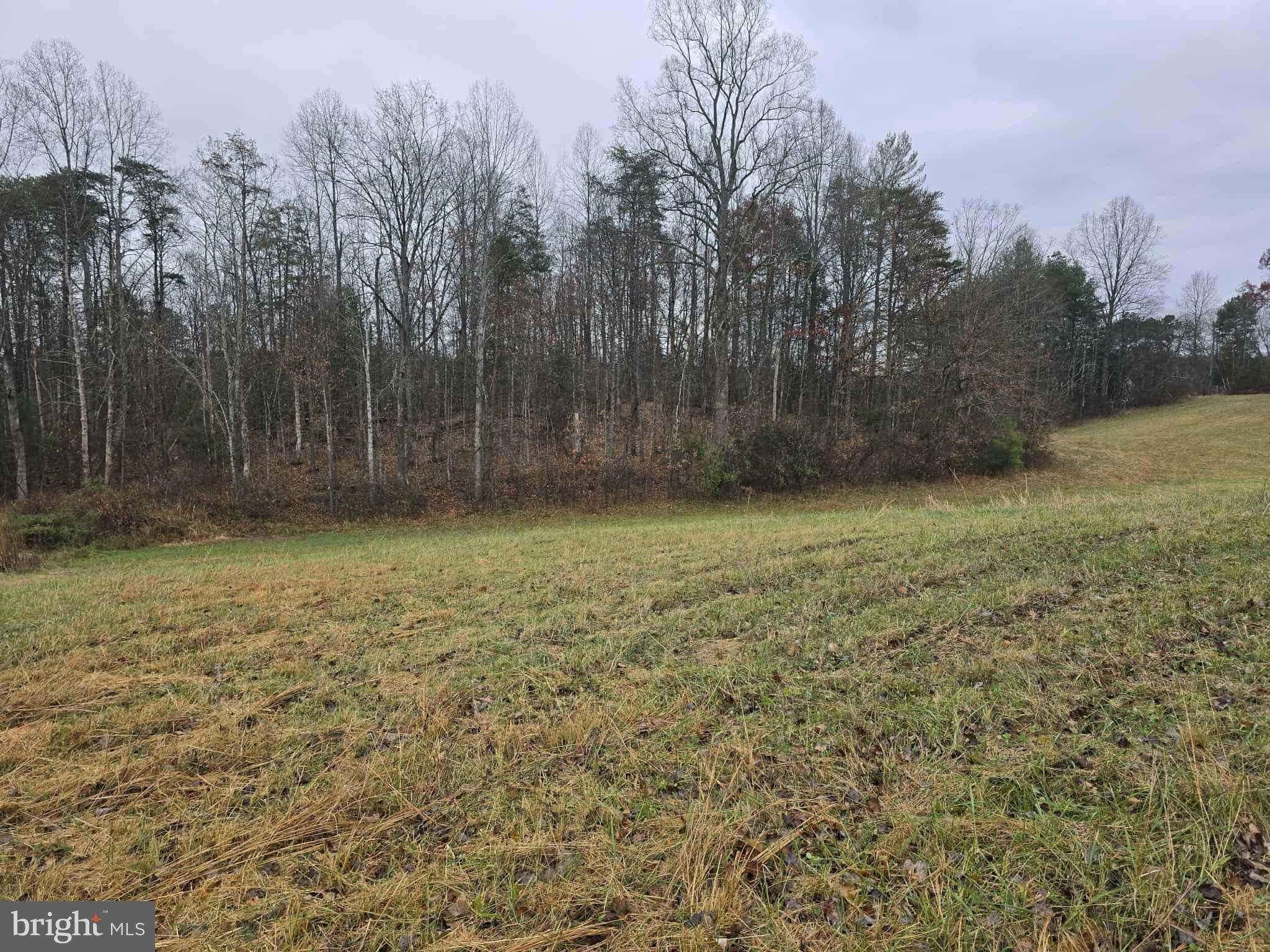 729 Celt Rd photo 11