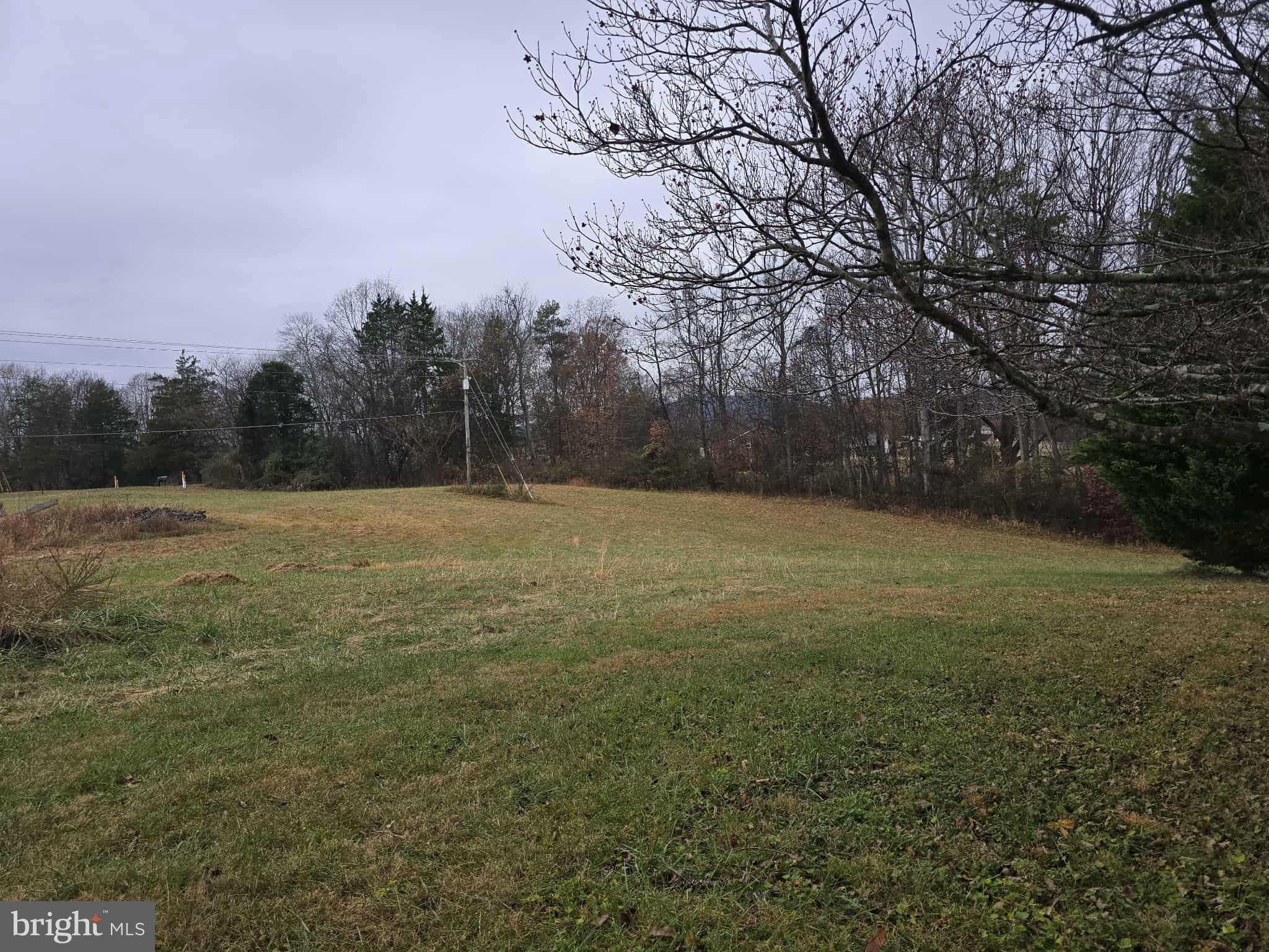 729 Celt Rd photo 18