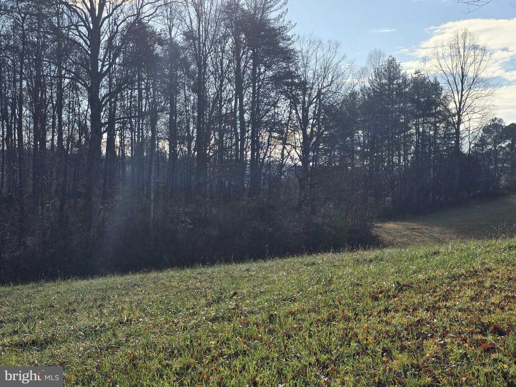 729 Celt Rd photo 21