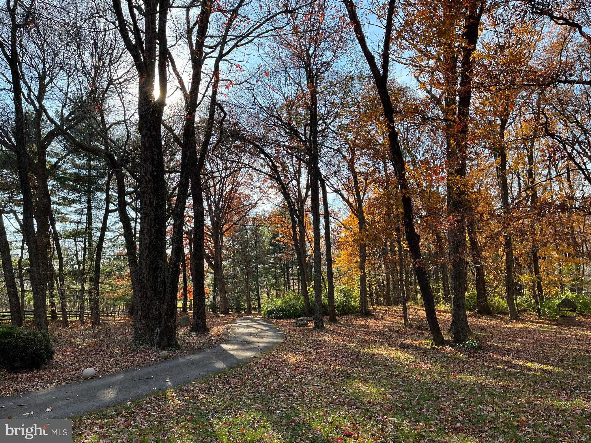 12080 Axline Rd photo 31