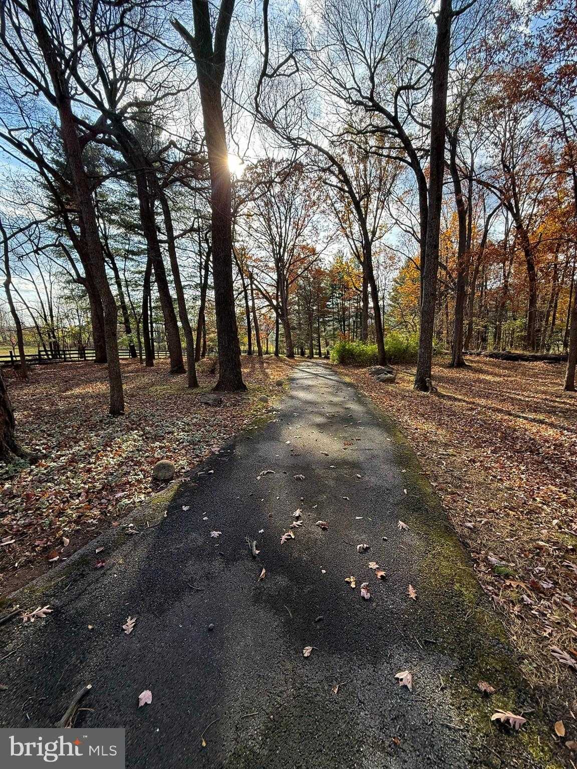 12080 Axline Rd photo 32