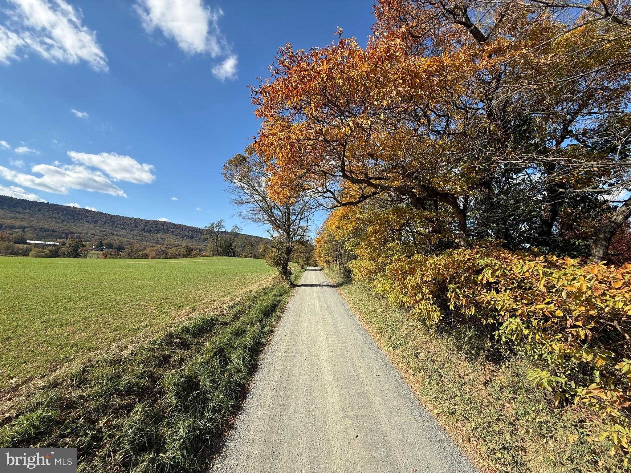 12080 Axline Rd photo 35