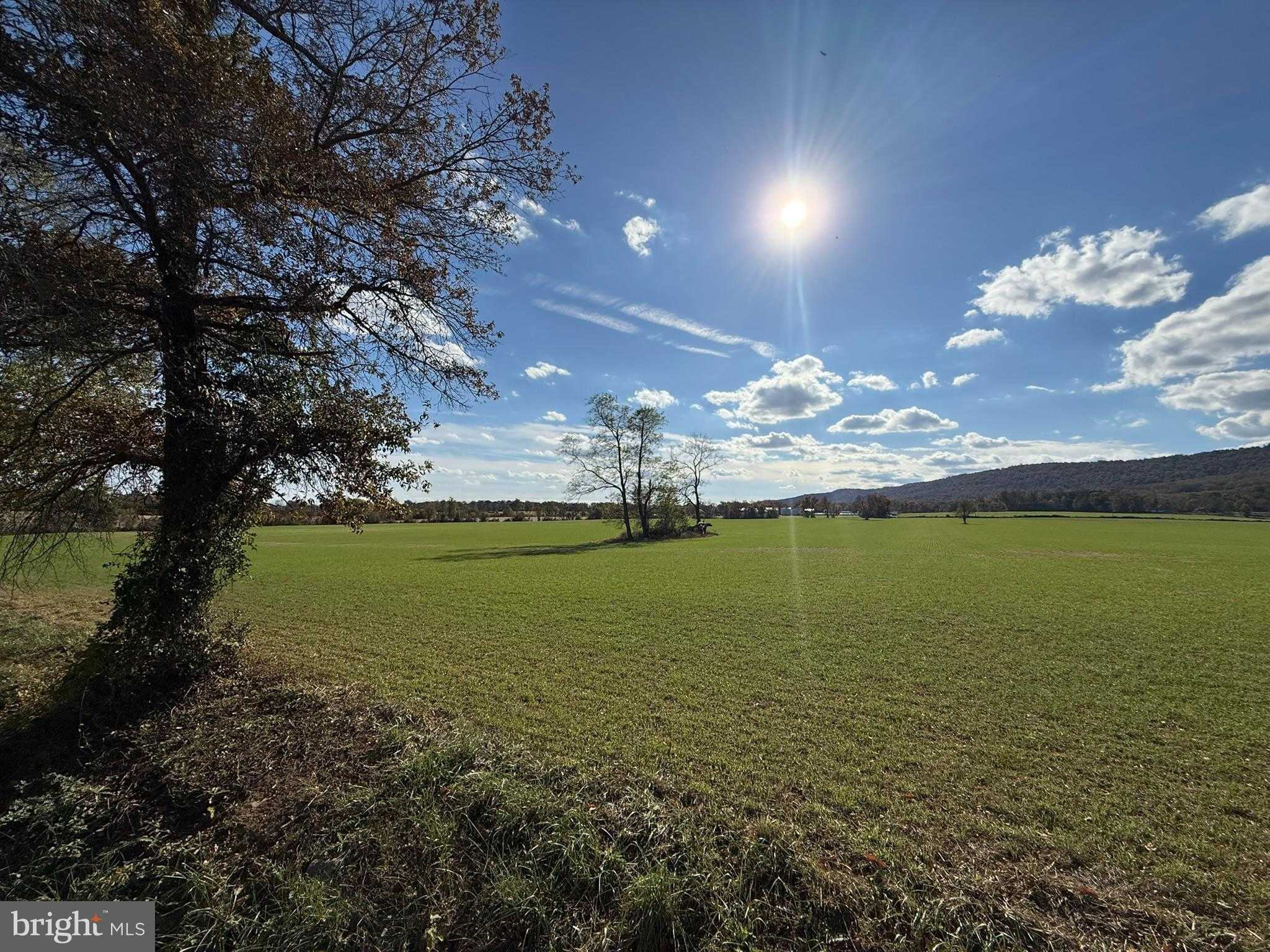 12080 Axline Rd photo 36