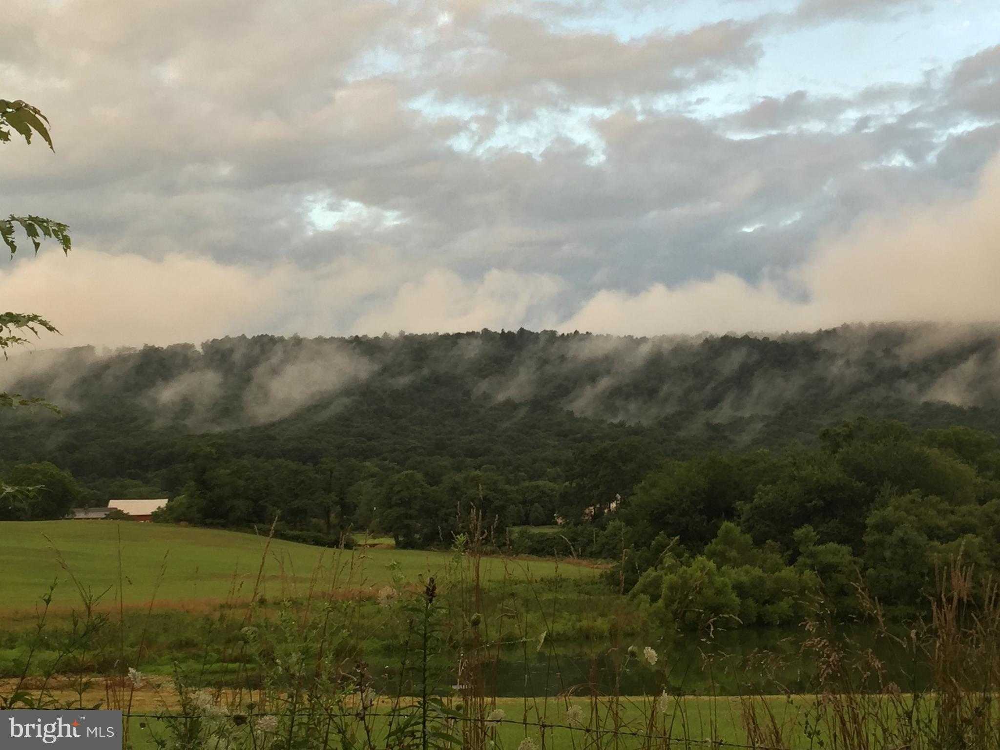 12080 Axline Rd photo 47