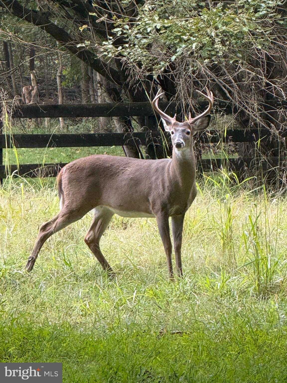 12080 Axline Rd photo 48