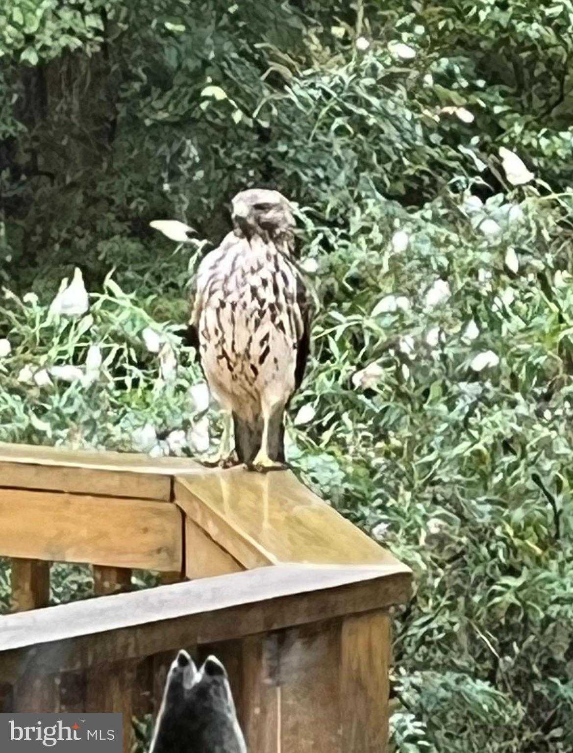 12080 Axline Rd photo 49