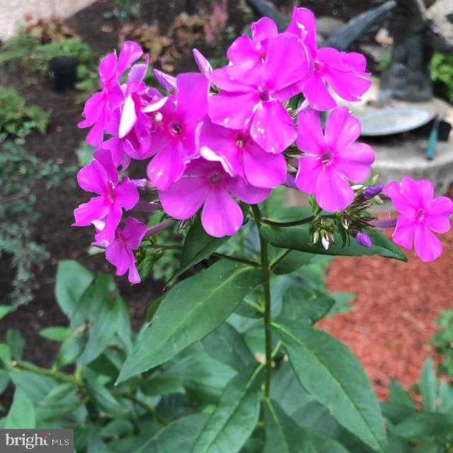 12080 Axline Rd photo 52