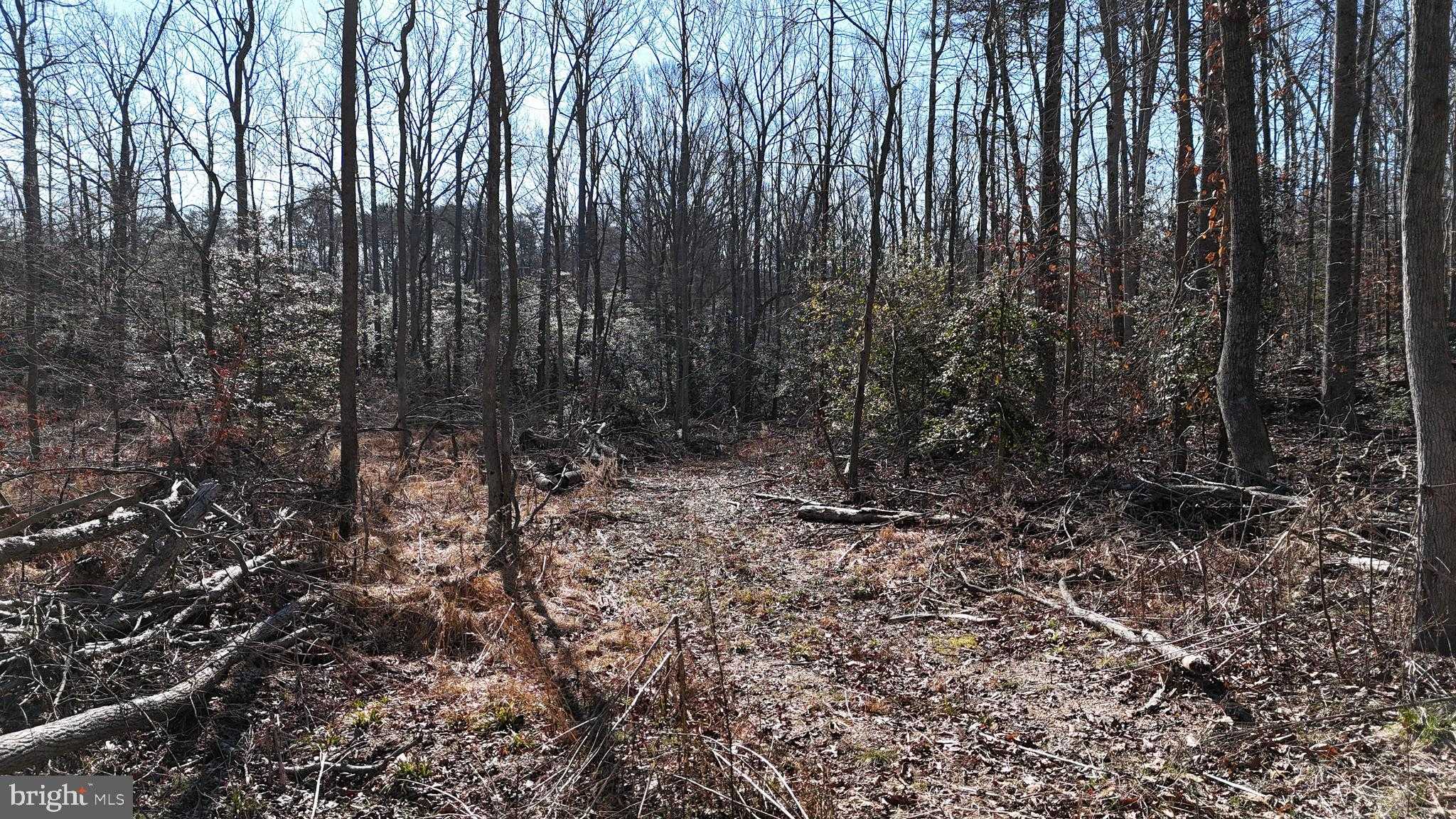 6355 Dusty Trail Pl photo 2