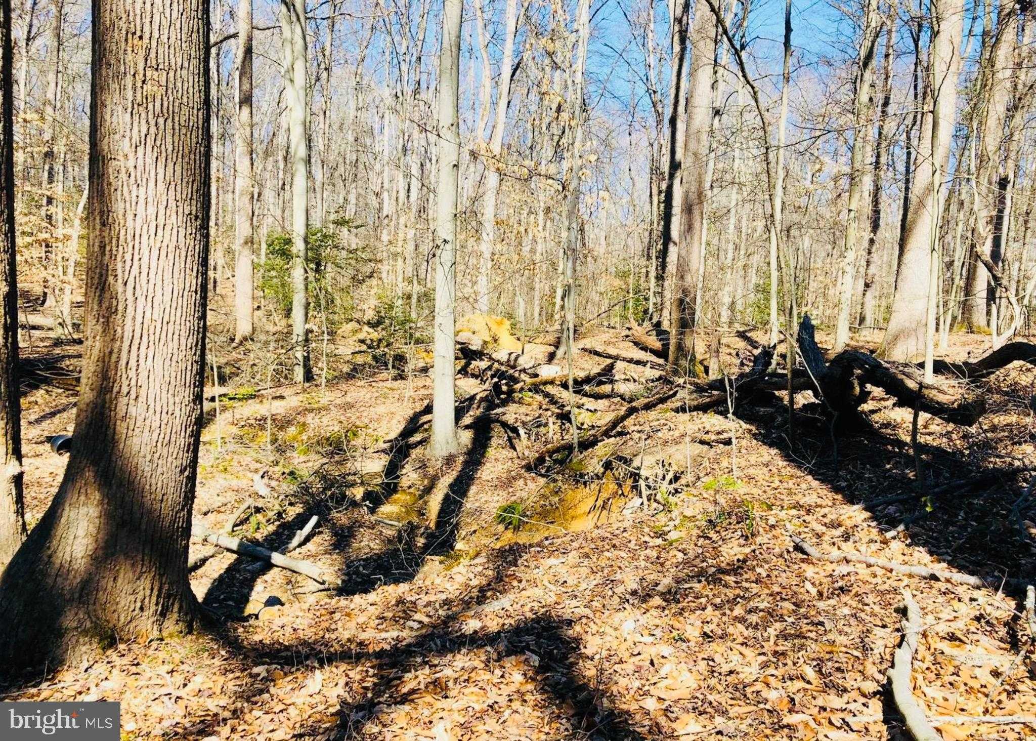 12357 Purcell Rd photo 3