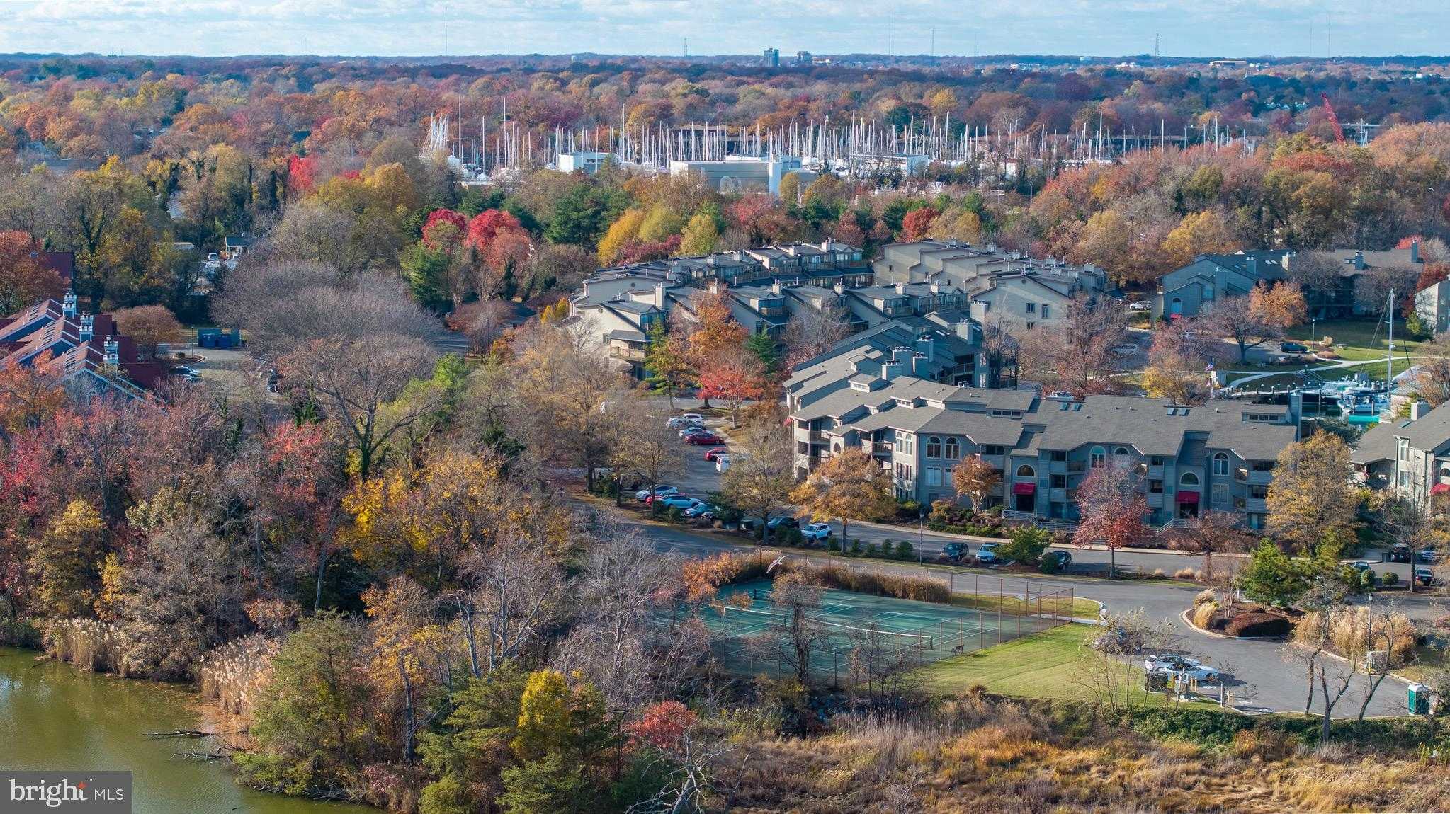 2106 Chesapeake Harbour Dr Apt 202 photo 58