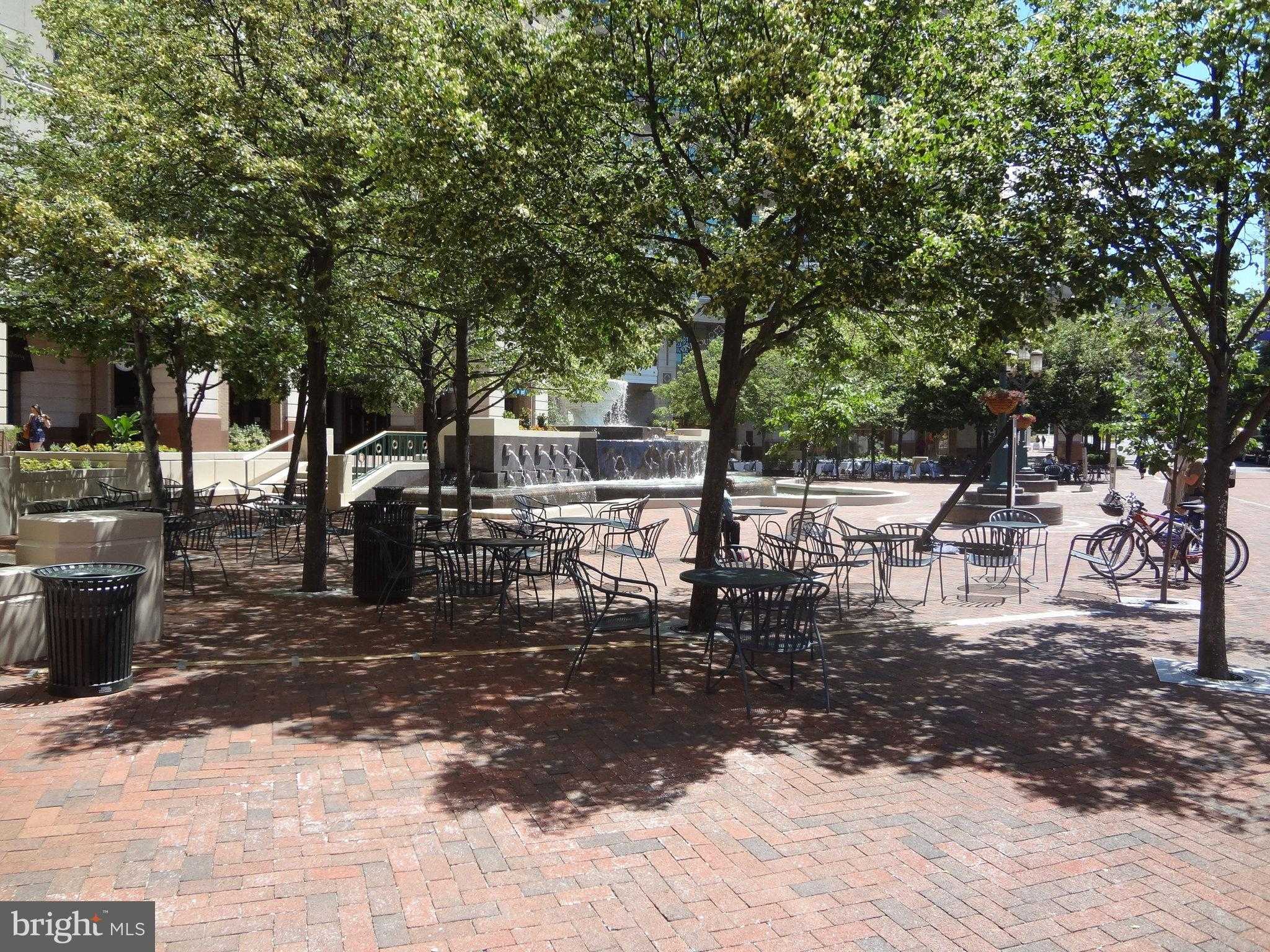 1334 Garden Wall Cir photo 47