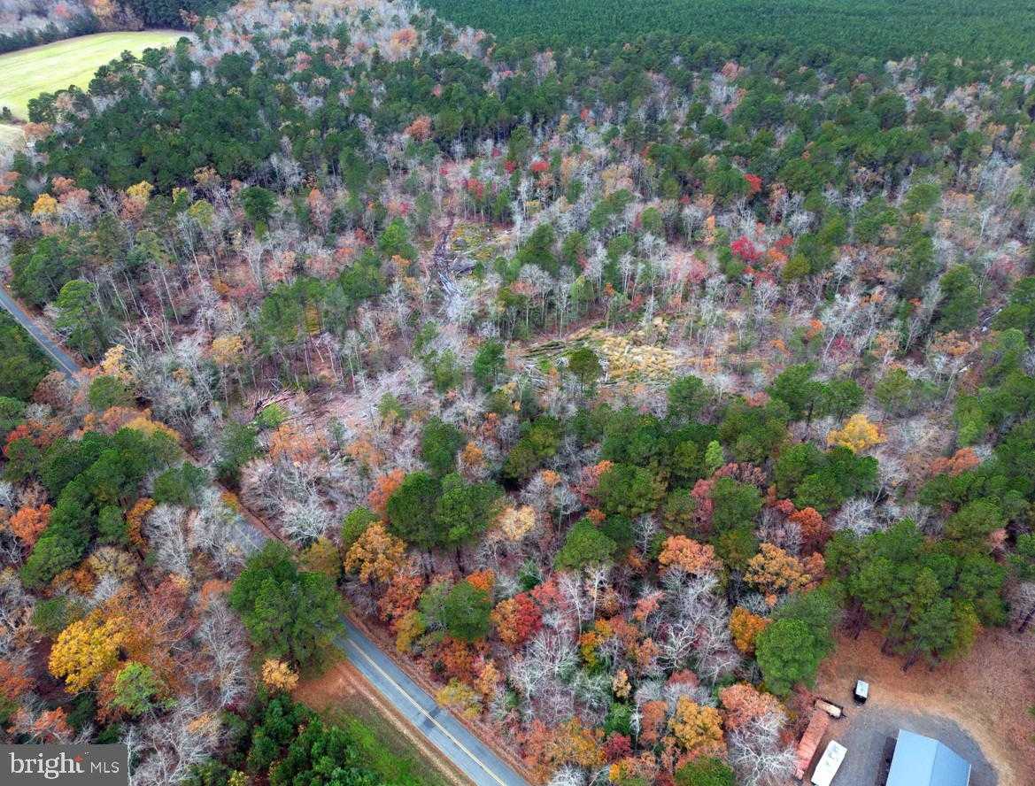 111 Erica Dr photo 7