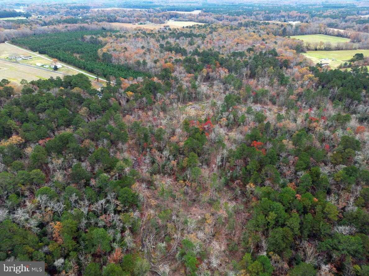 111 Erica Dr photo 8