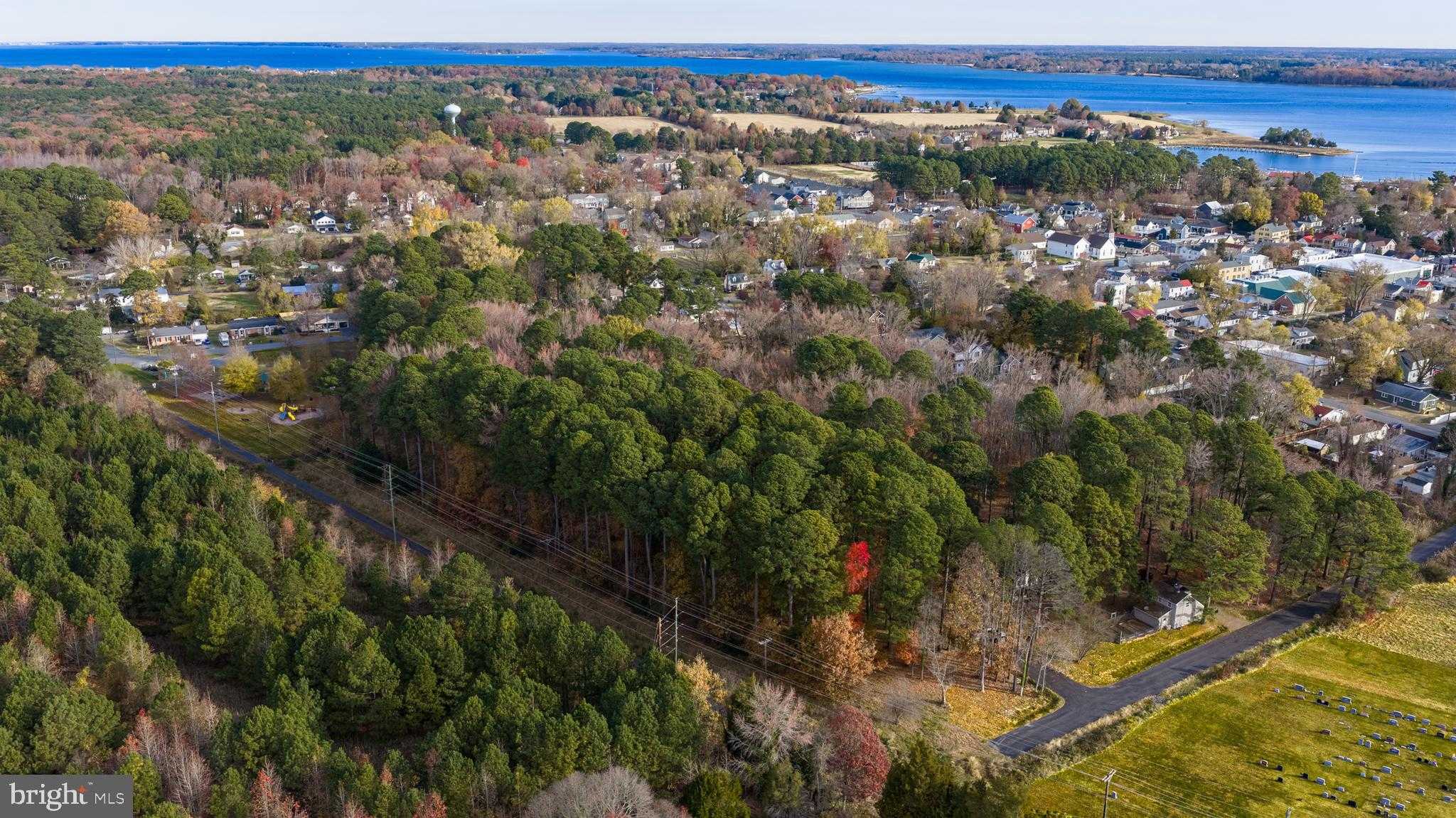 108 Miles Ln photo 6