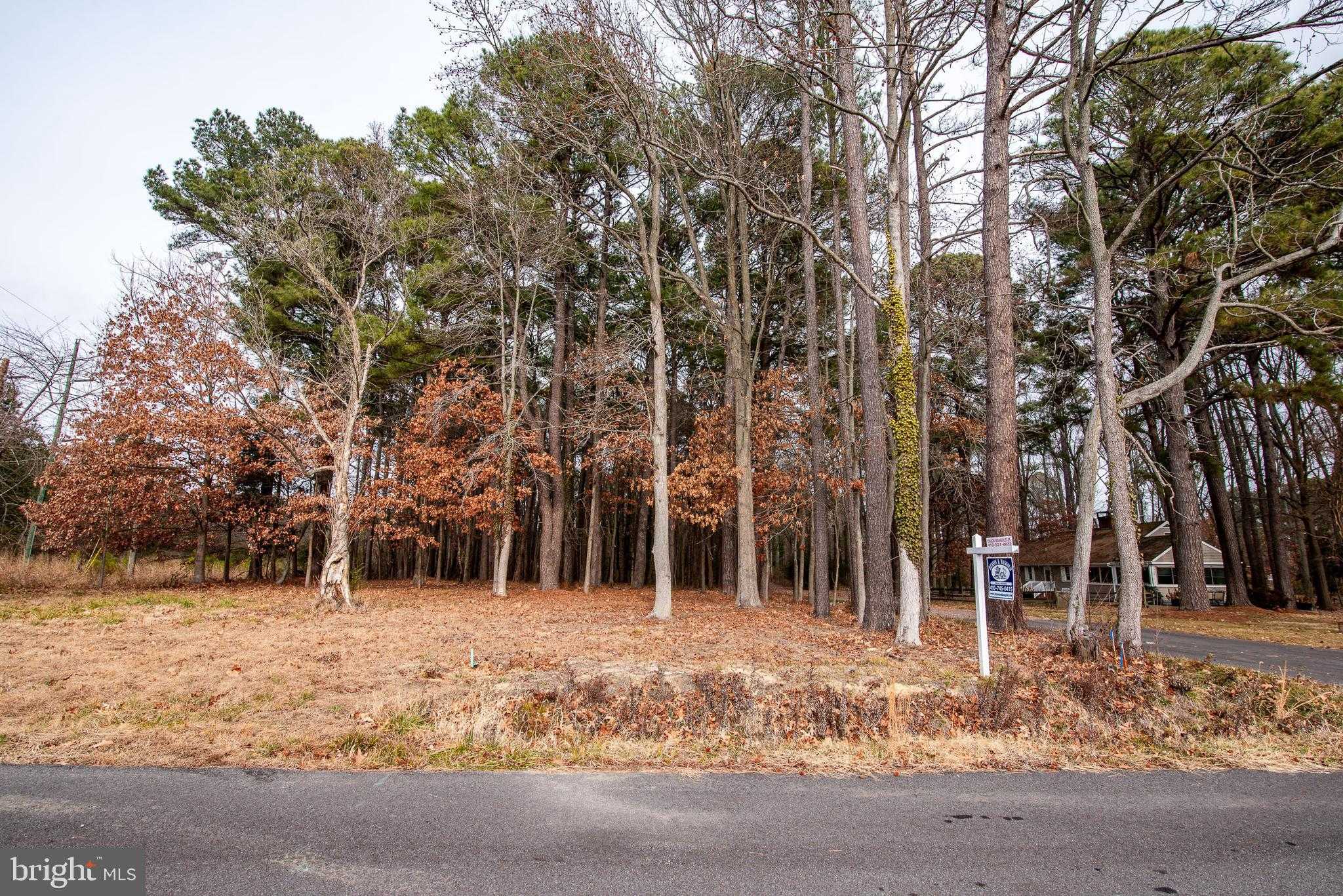 108 Miles Ln photo 7