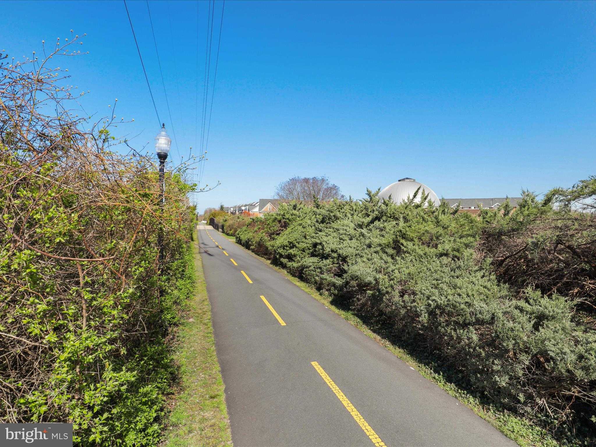 904 Locust St photo 63