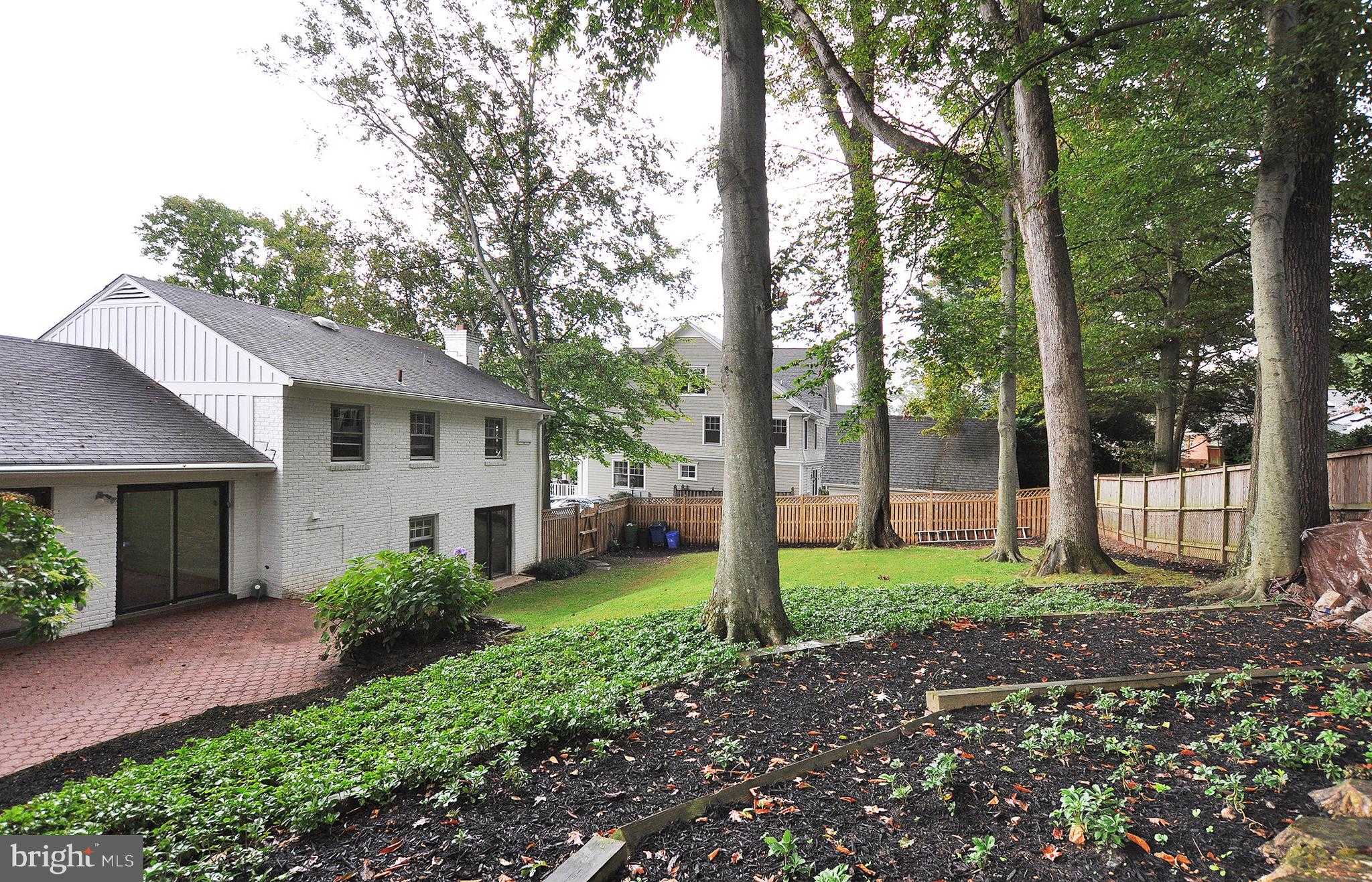 6402 Orchid Dr photo 30