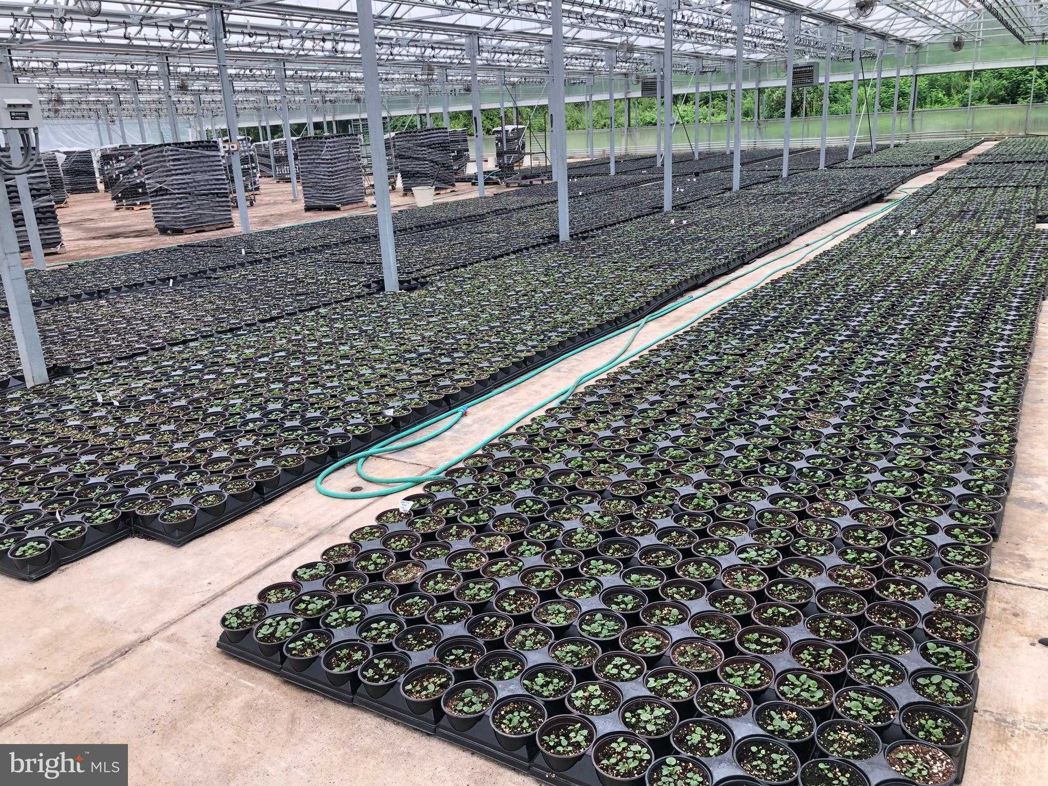 2730 Marker Rd photo 52