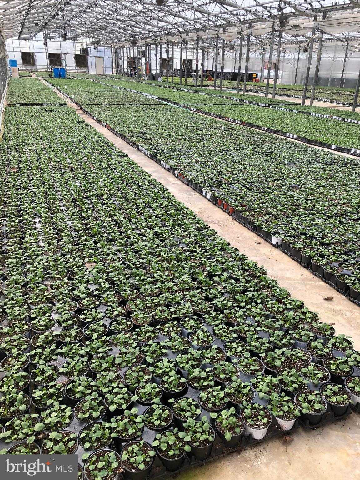 2730 Marker Rd photo 53