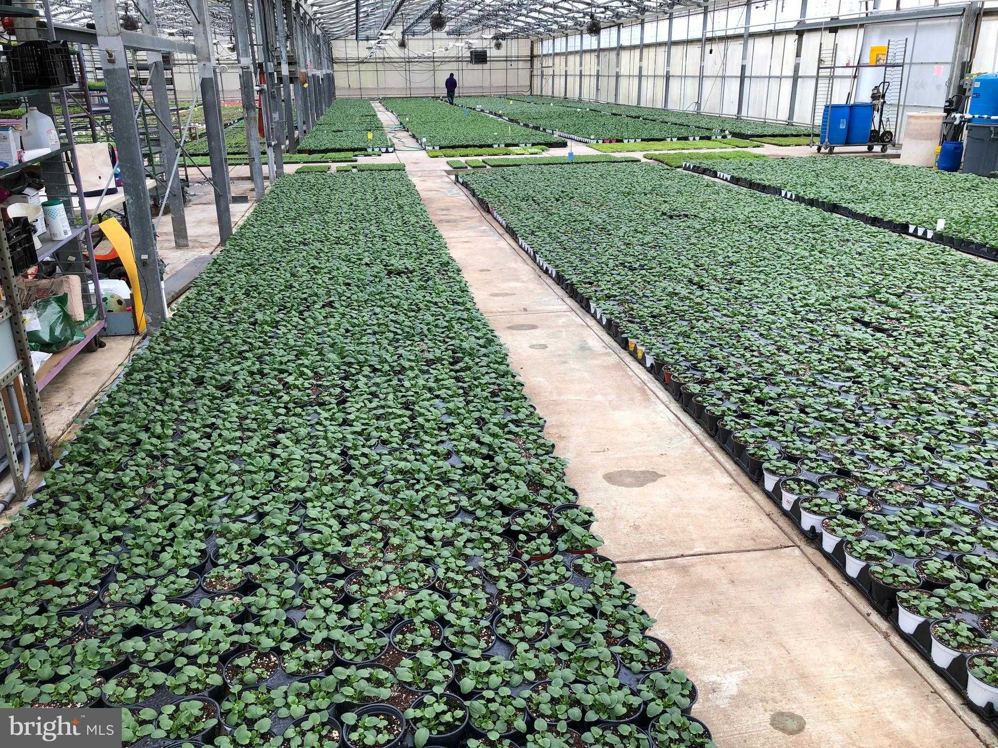 2730 Marker Rd photo 54