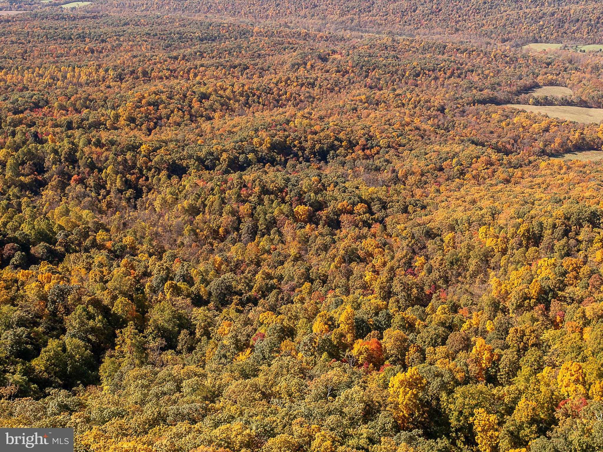 Hedgesville Rd photo 22