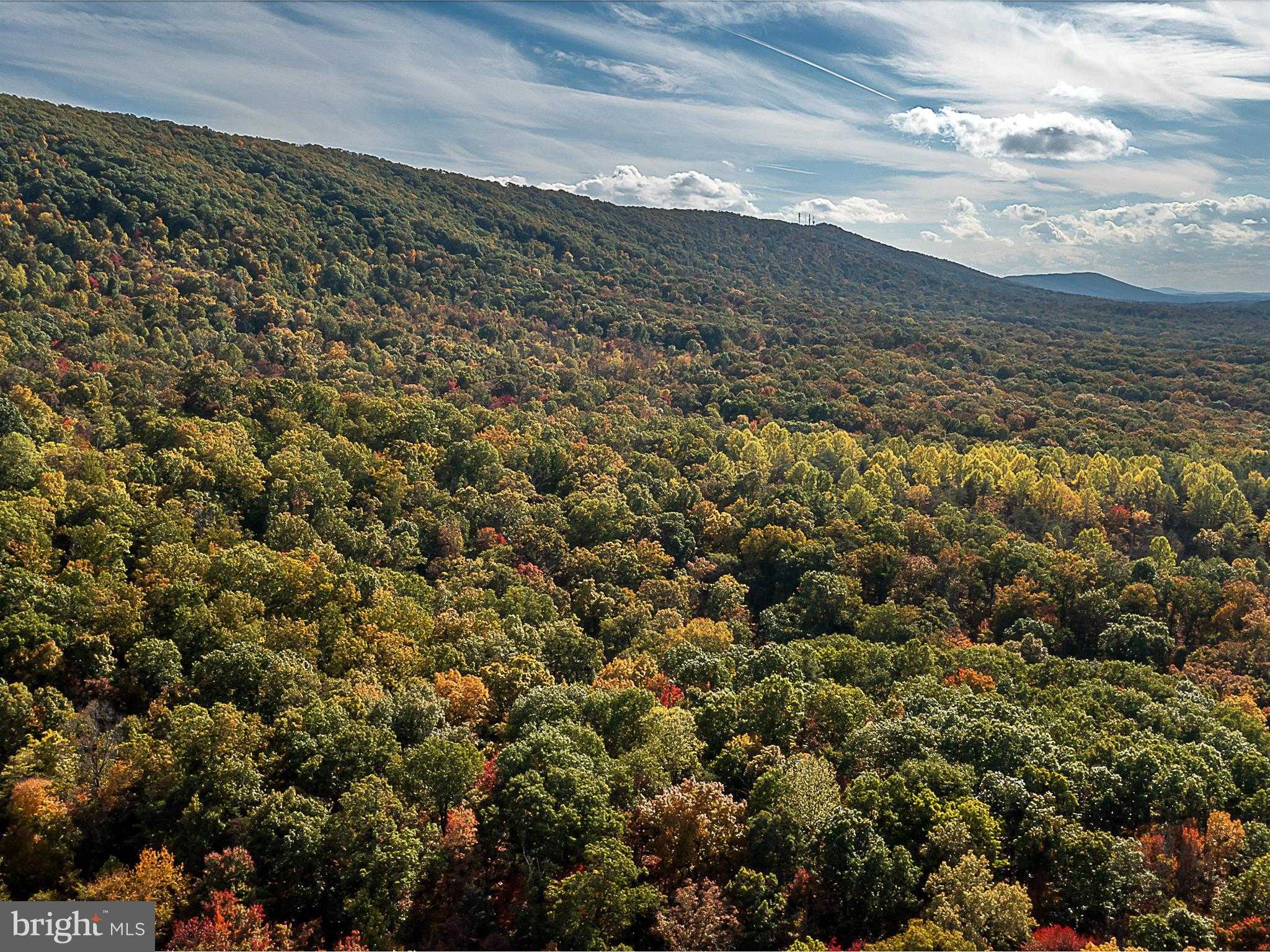 Hedgesville Rd photo 3