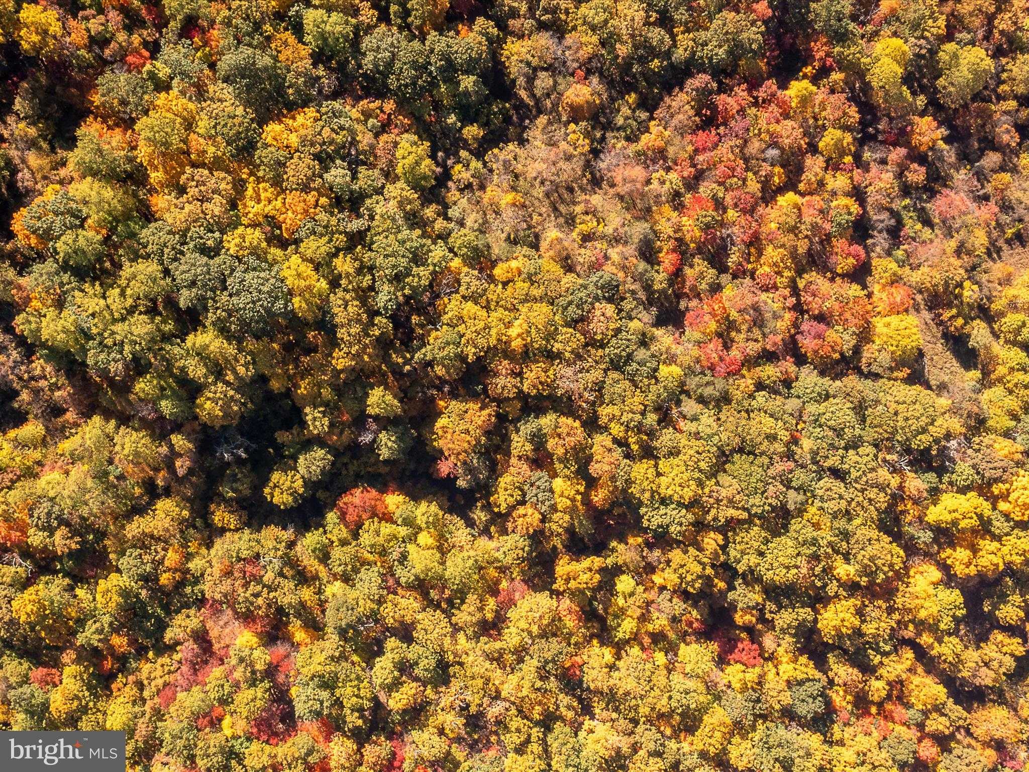 Hedgesville Rd photo 34