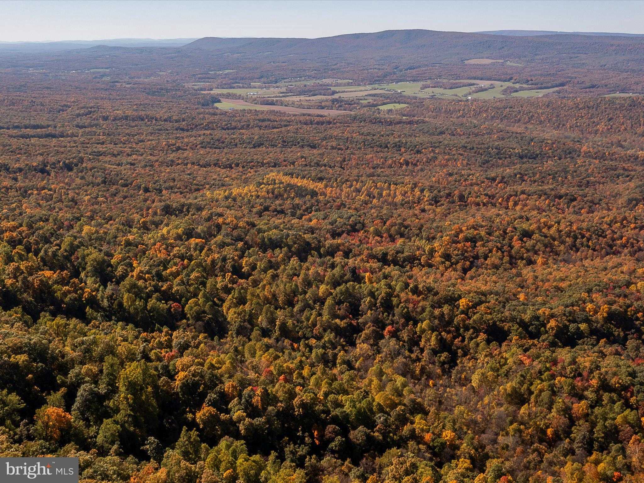 Hedgesville Rd photo 39