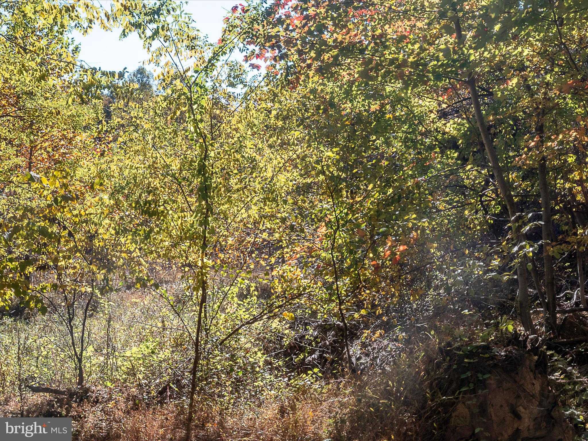 Hedgesville Rd photo 49